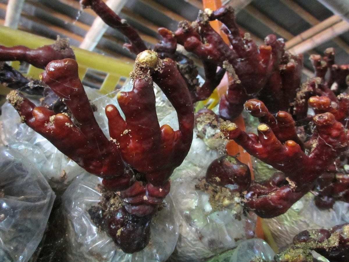 IMG_9210.JPG IMG_9210.JPG