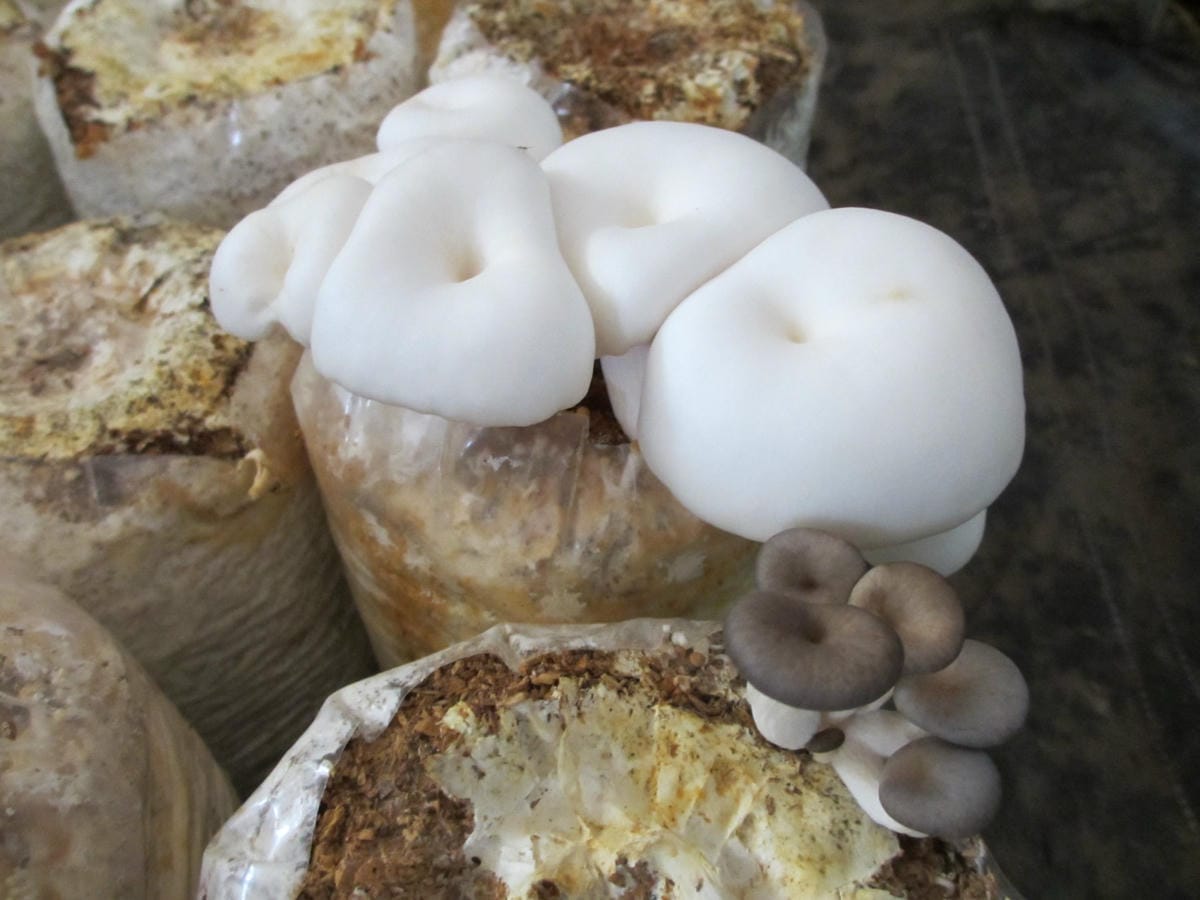 IMG_9216.JPG IMG_9216.JPG