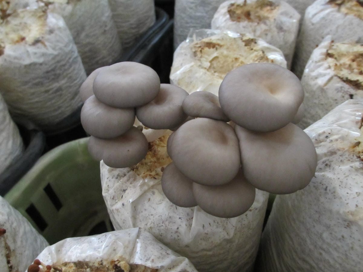 IMG_9214.JPG IMG_9214.JPG