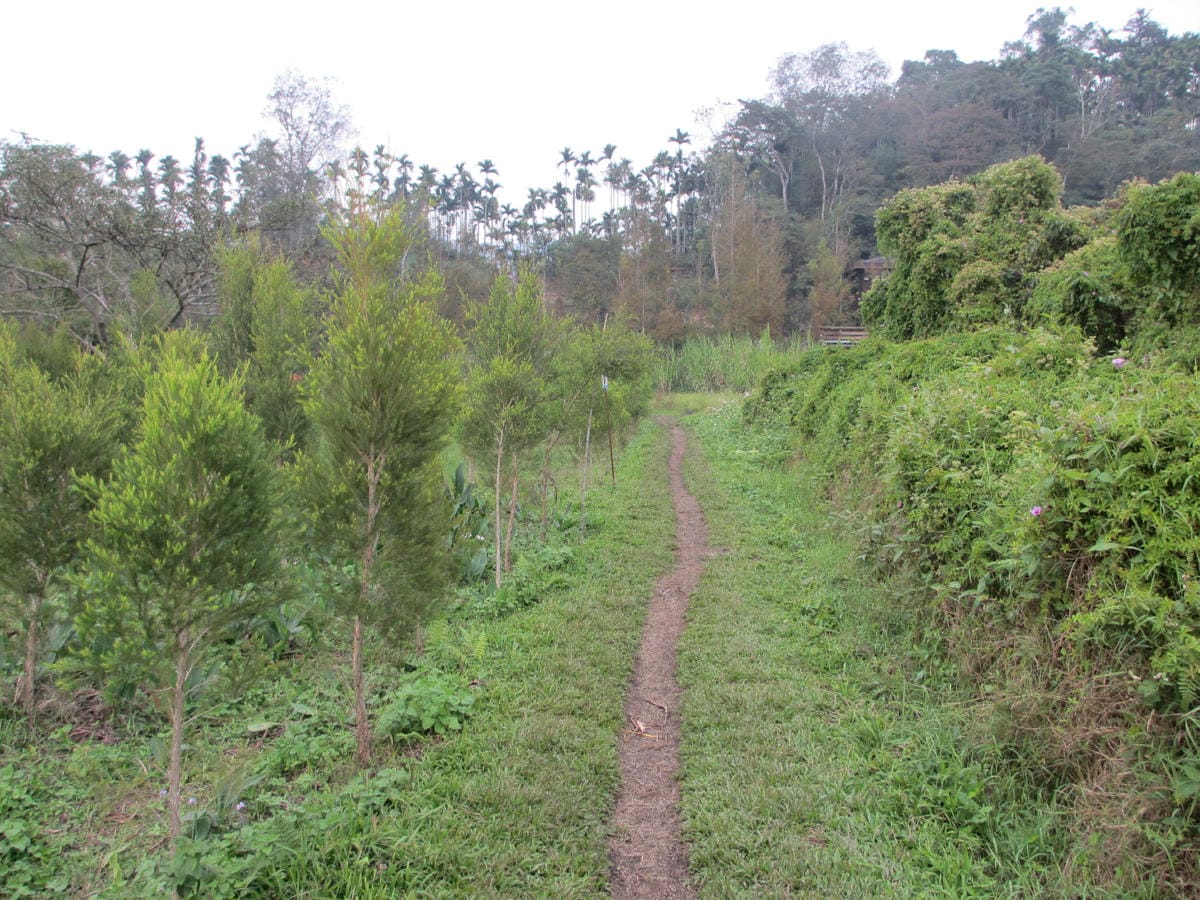 IMG_9259.JPG IMG_9259.JPG