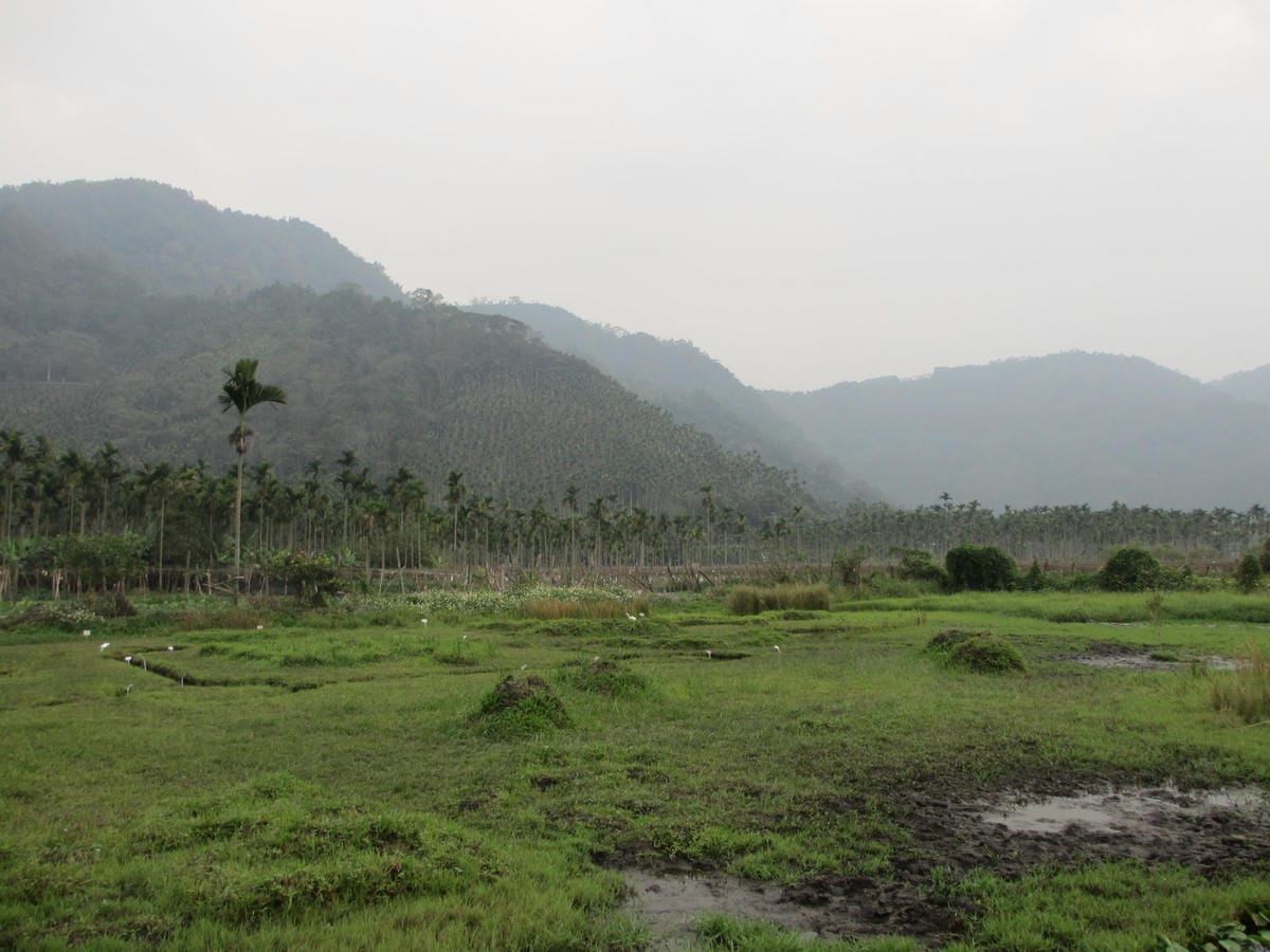 IMG_9250.JPG IMG_9250.JPG