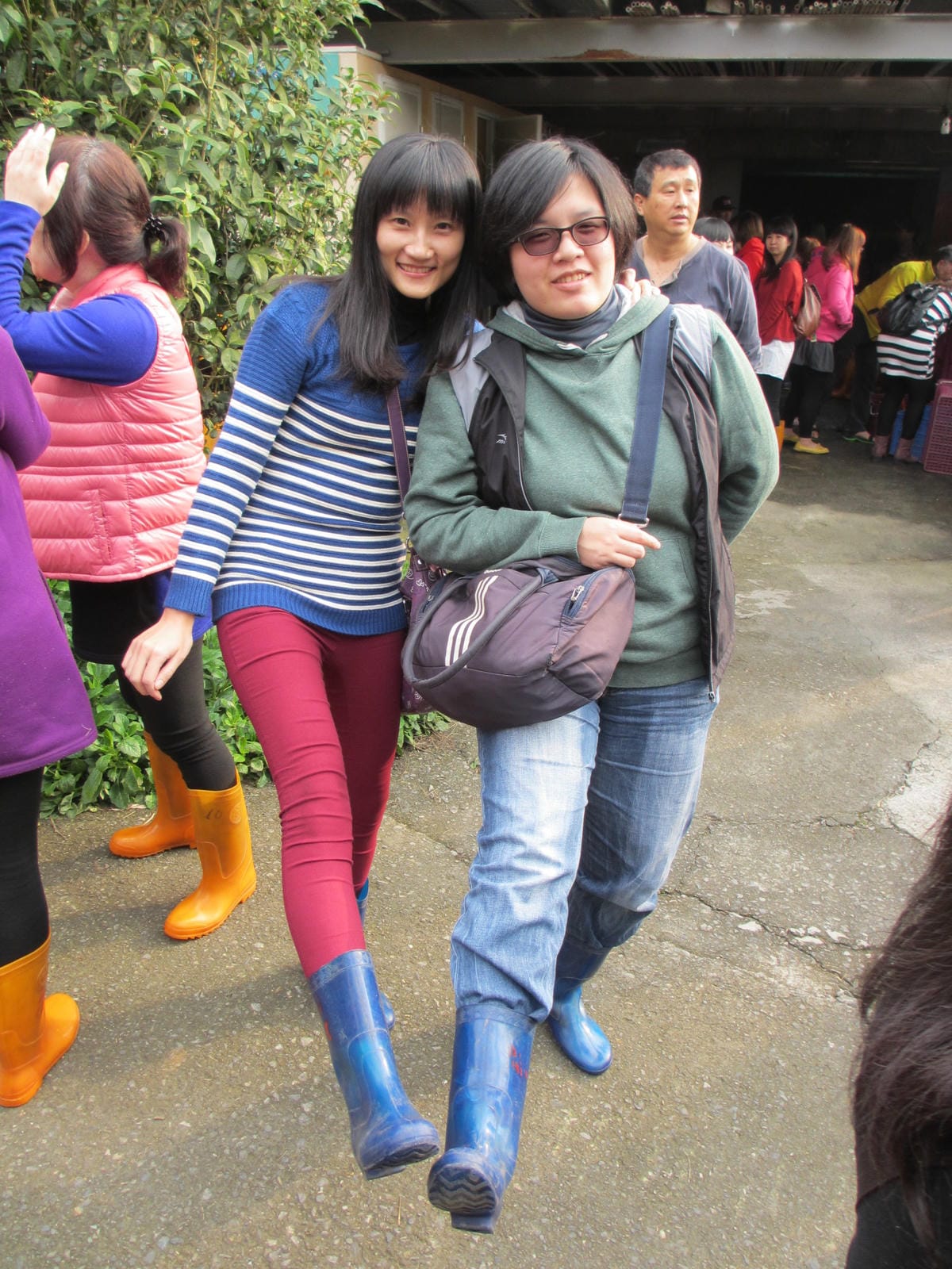 IMG_9247.JPG IMG_9247.JPG