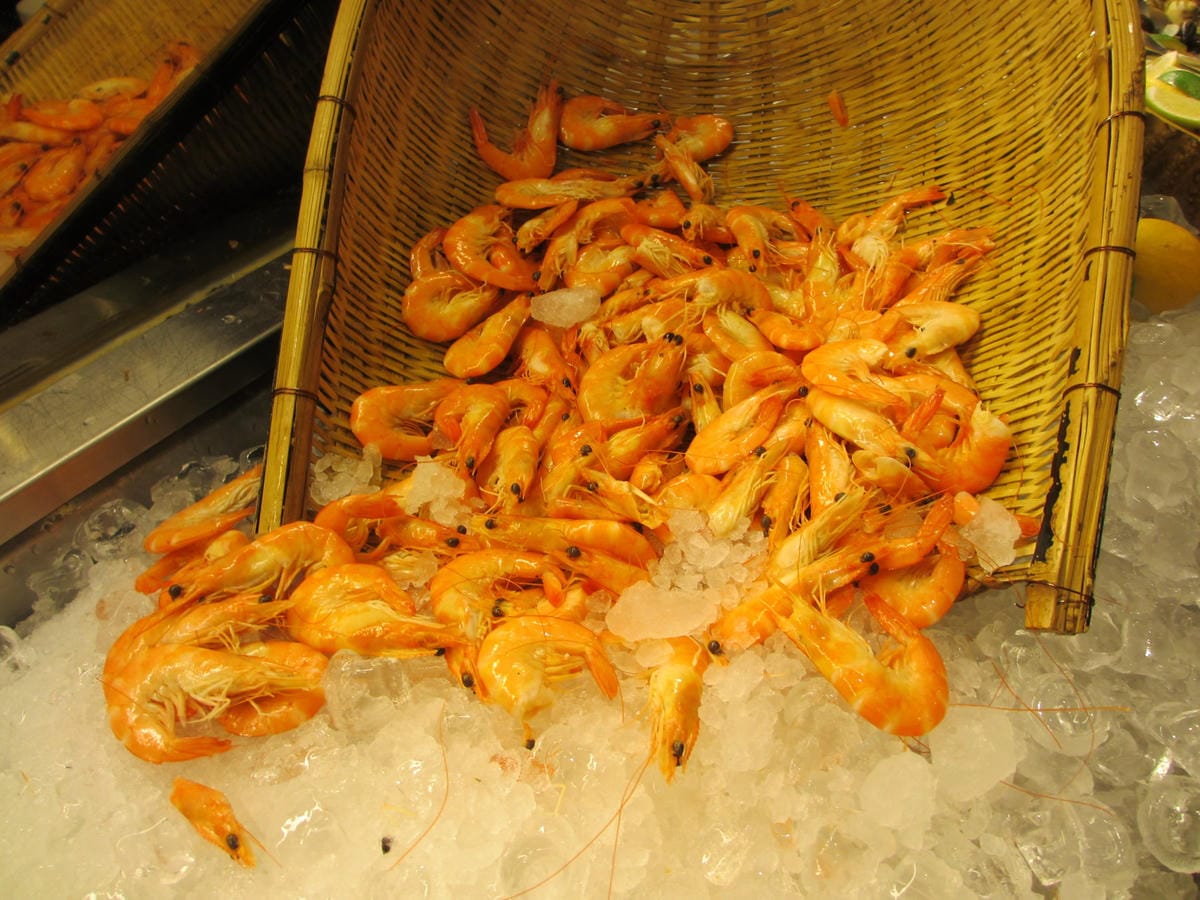 IMG_9291.JPG IMG_9291.JPG