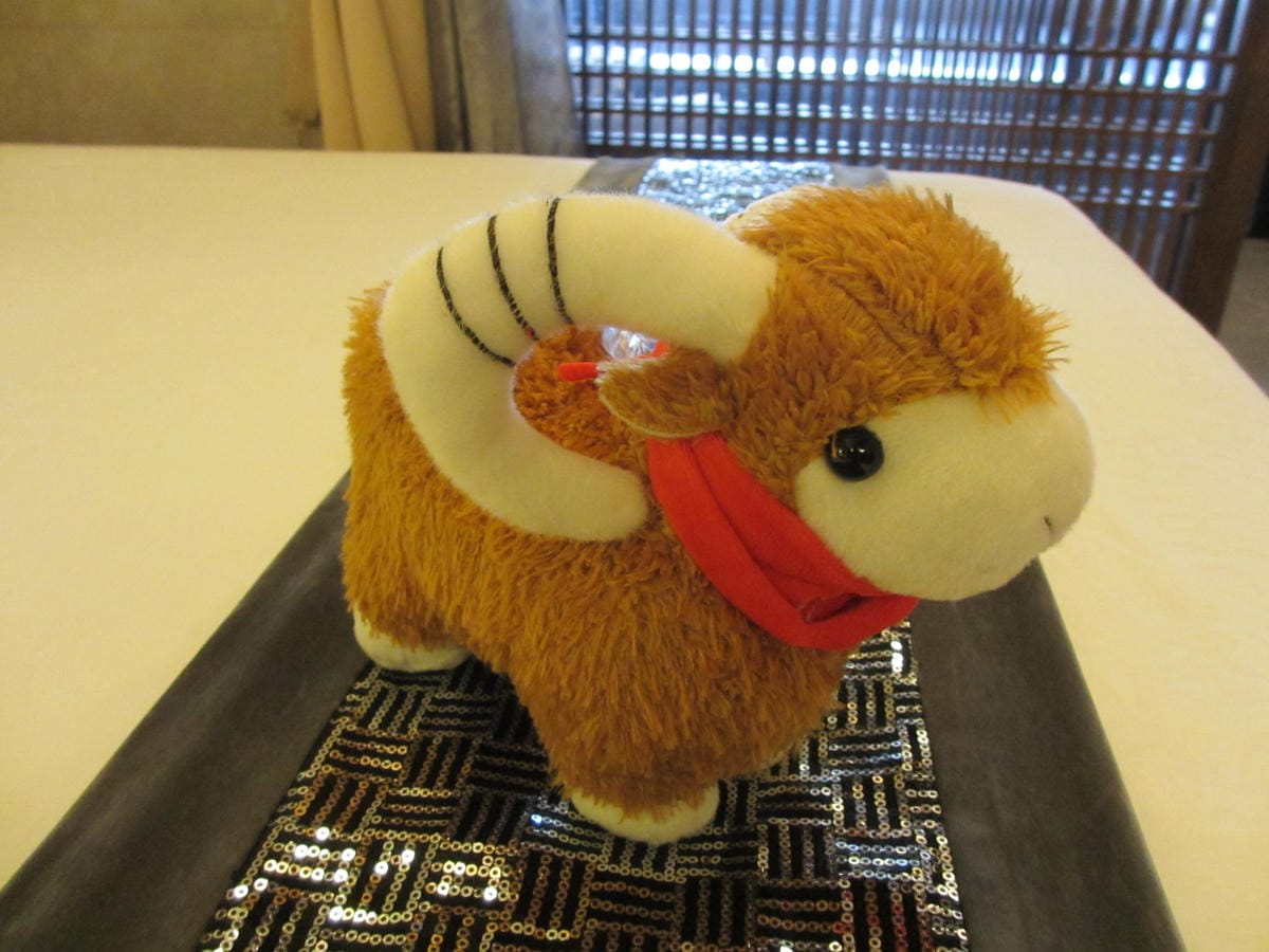 IMG_9980.JPG IMG_9980.JPG