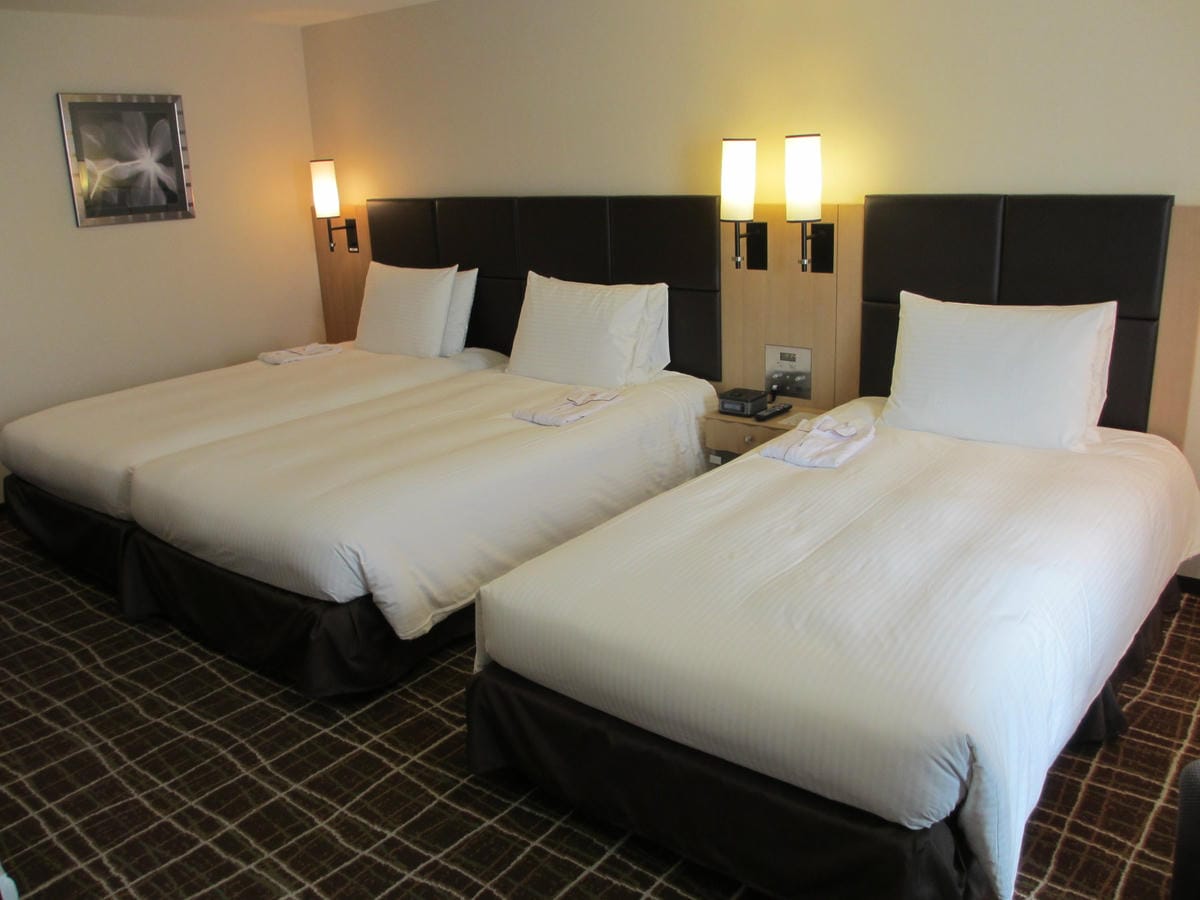 IMG_0242.JPG IMG_0242.JPG