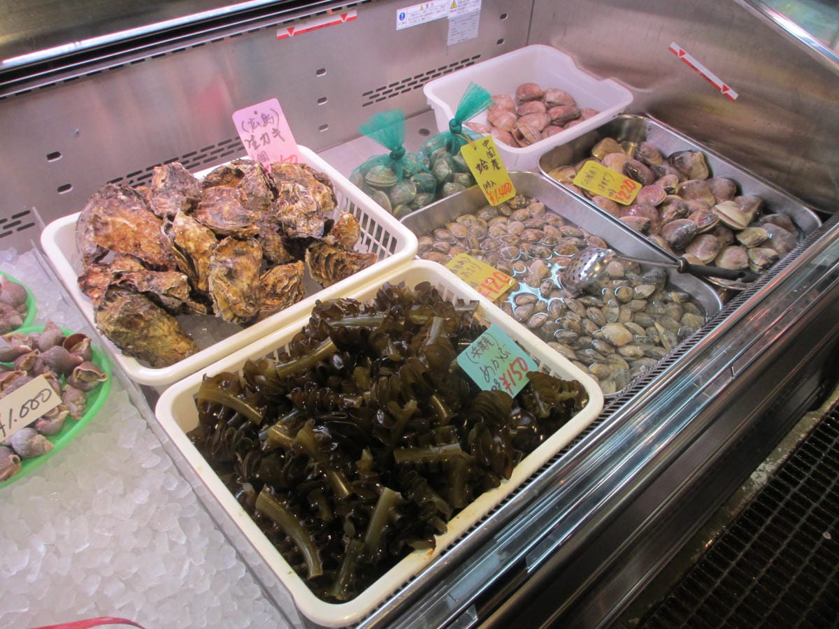 IMG_0357.JPG IMG_0357.JPG