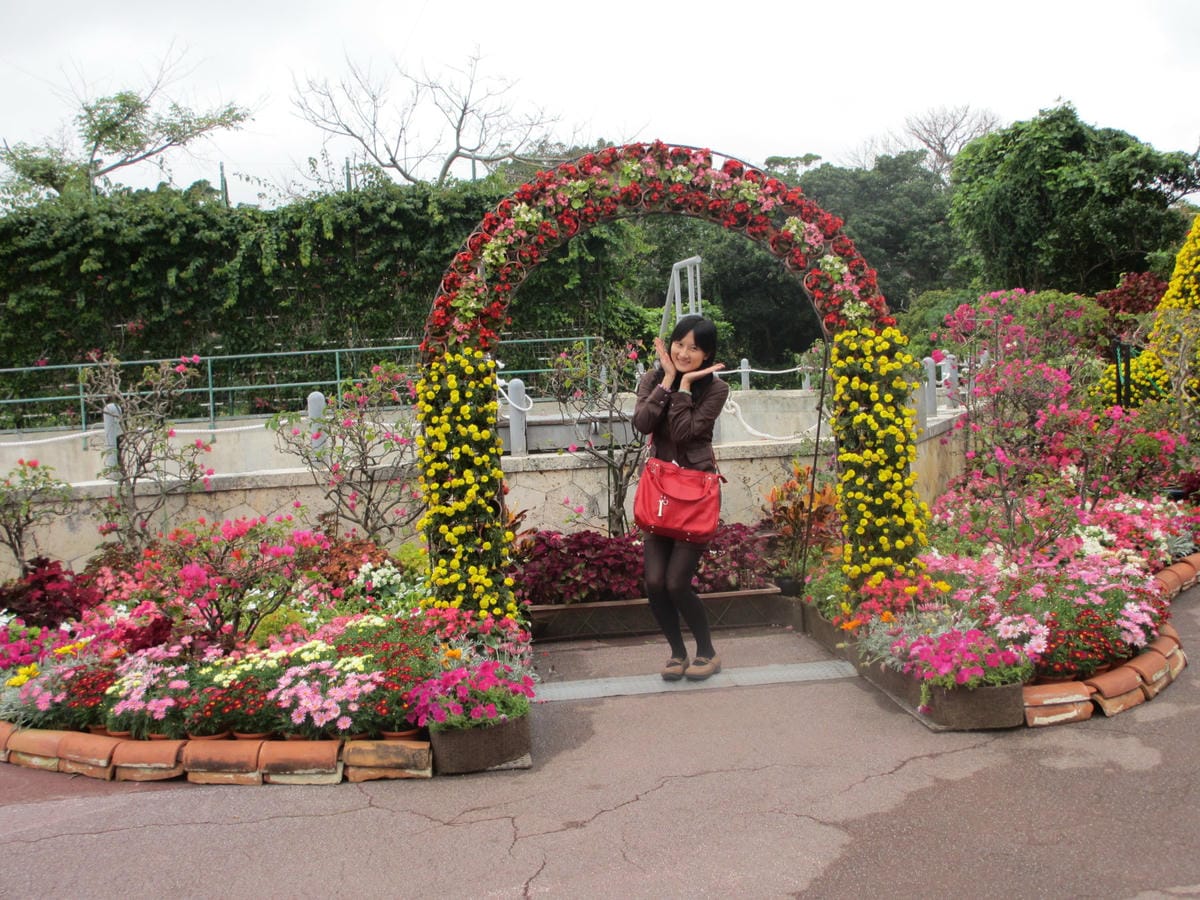 IMG_0518.JPG IMG_0518.JPG