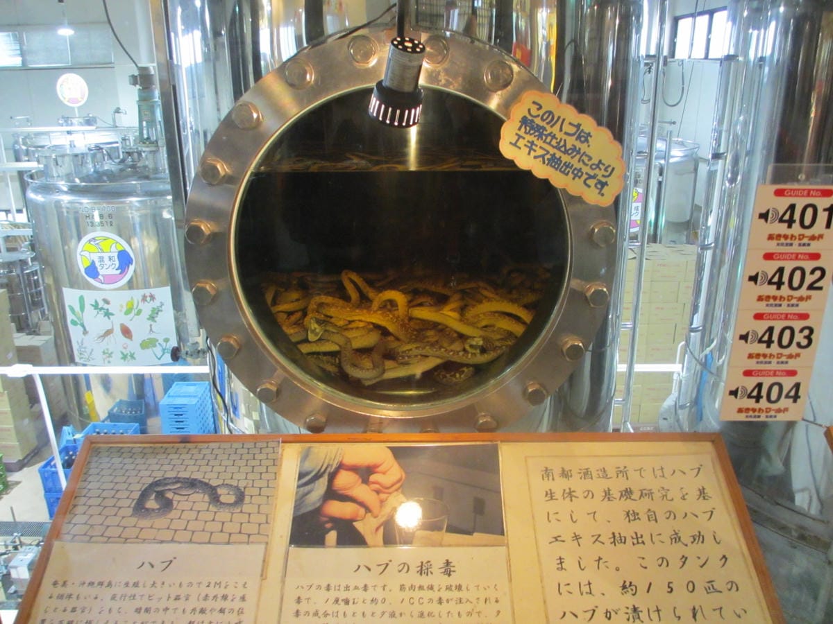 IMG_0516.JPG IMG_0516.JPG