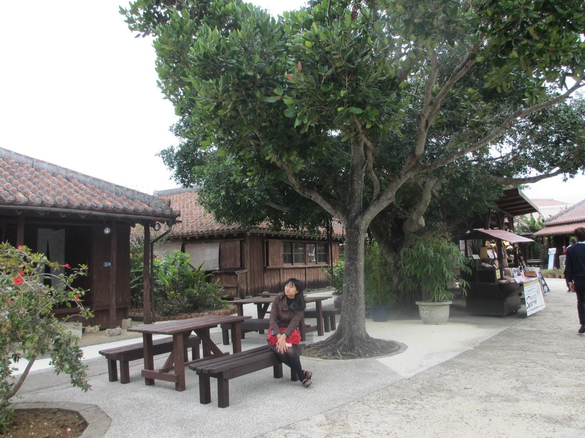 IMG_0509.JPG IMG_0509.JPG