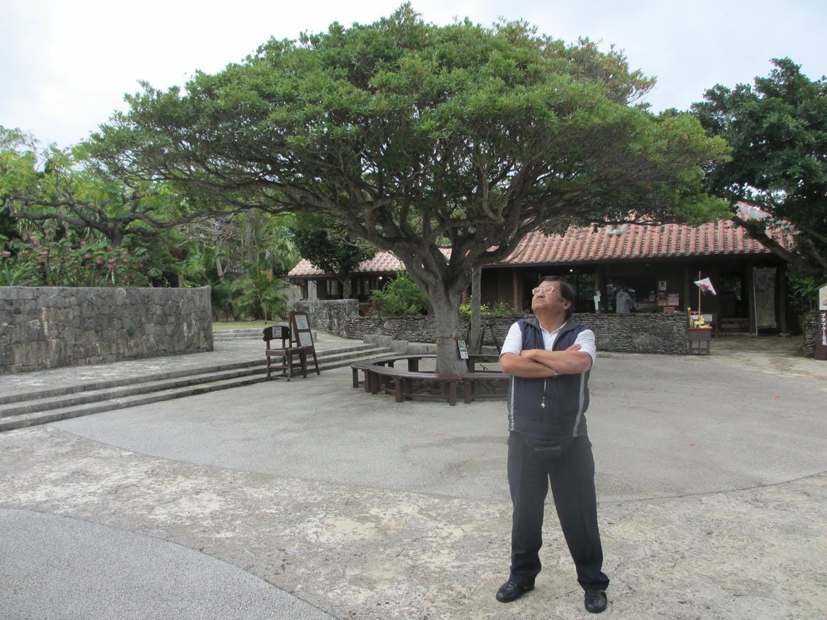 IMG_0511.JPG IMG_0511.JPG