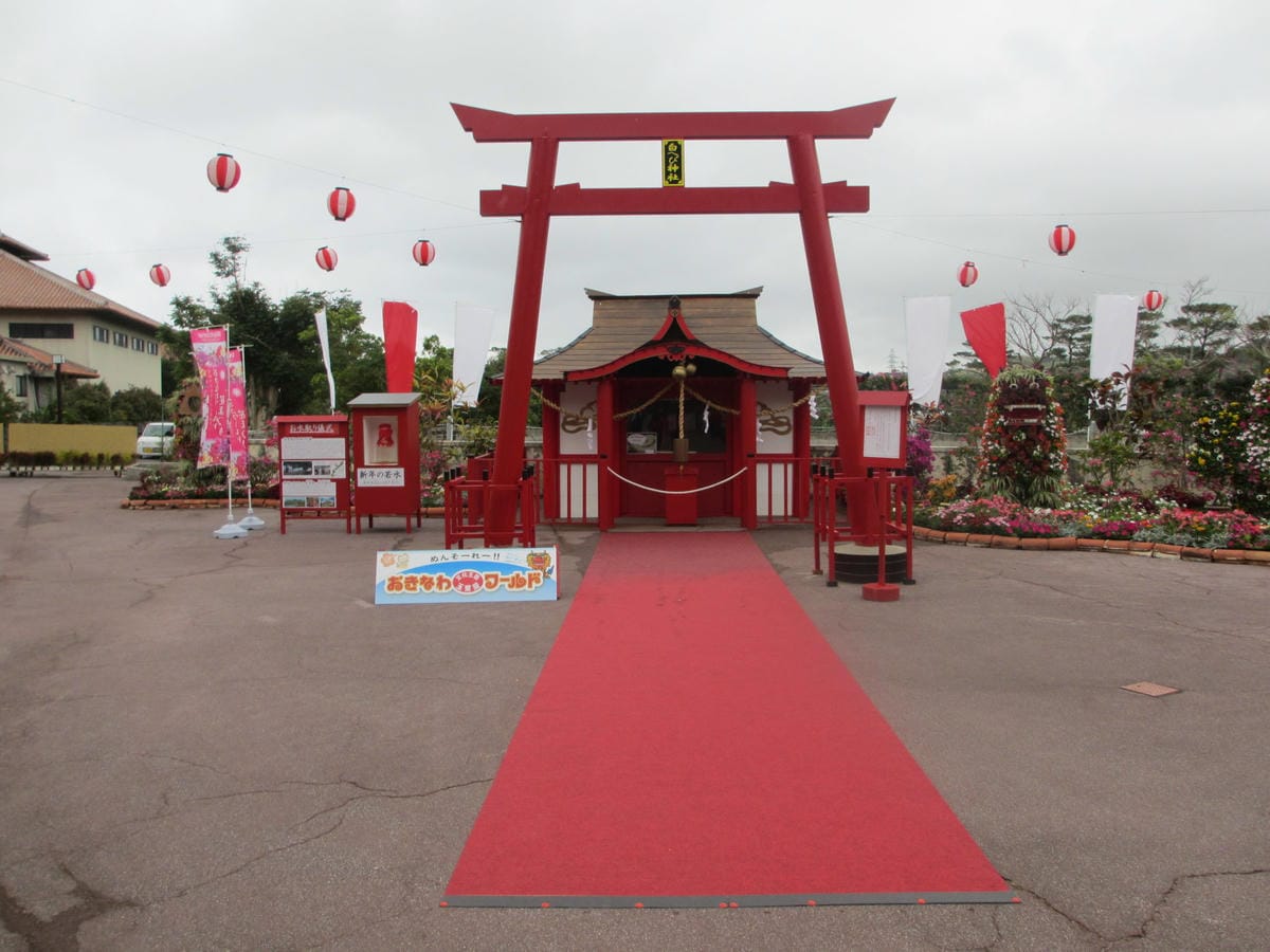 IMG_0517.JPG IMG_0517.JPG