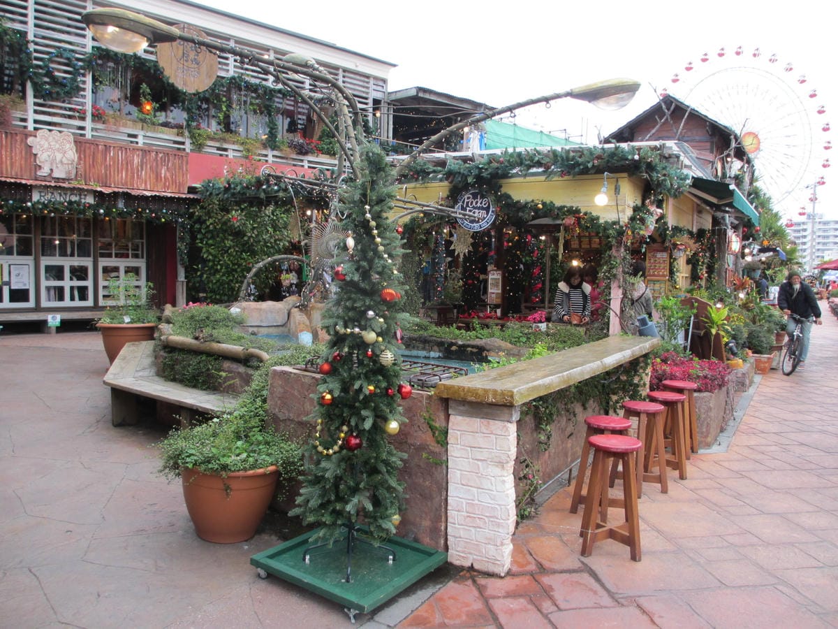 IMG_0571.JPG IMG_0571.JPG