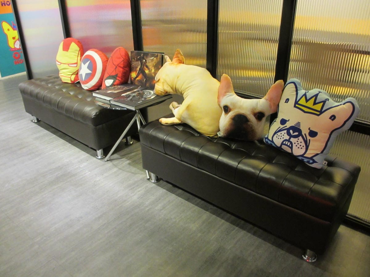 IMG_1181.JPG IMG_1181.JPG