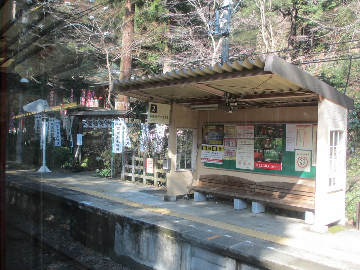 IMG_0810.JPG IMG_0810.JPG