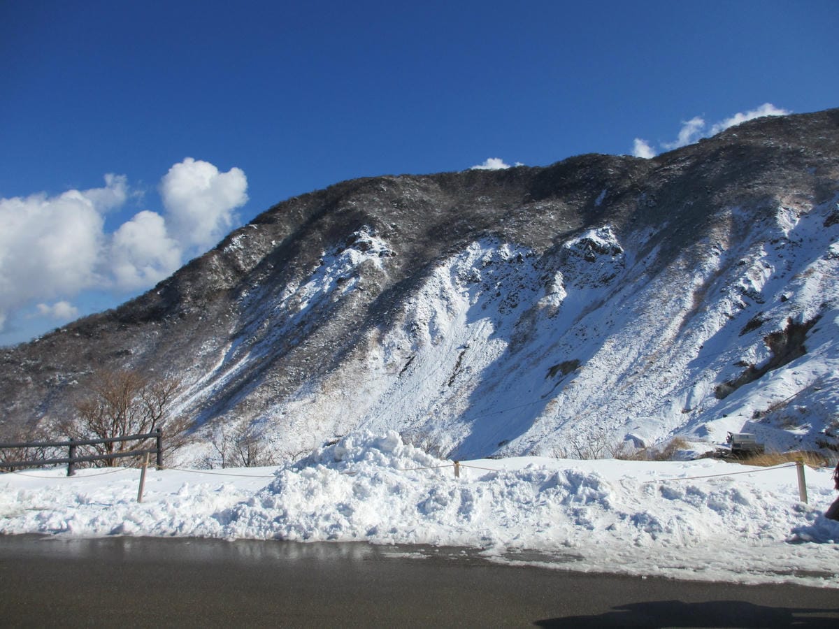 IMG_0831.JPG IMG_0831.JPG