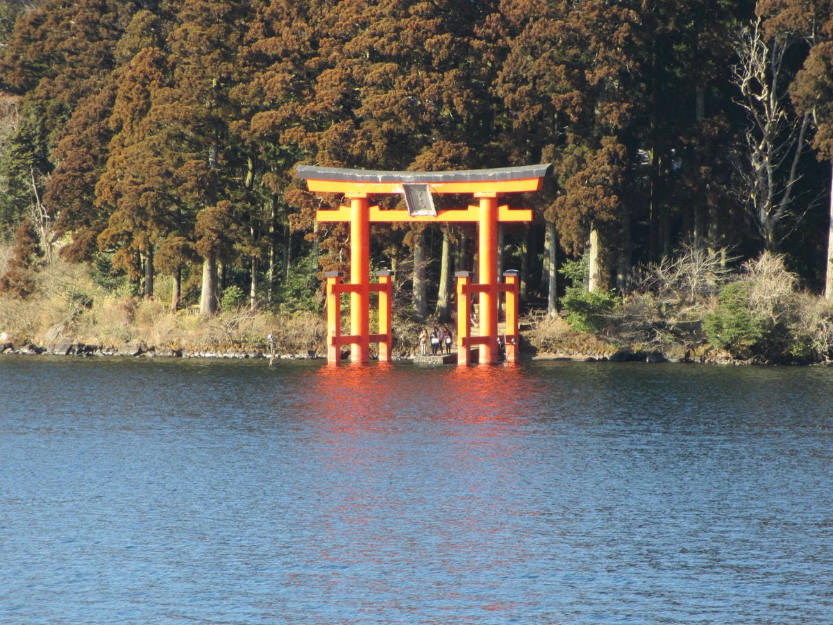 IMG_0899.JPG IMG_0899.JPG