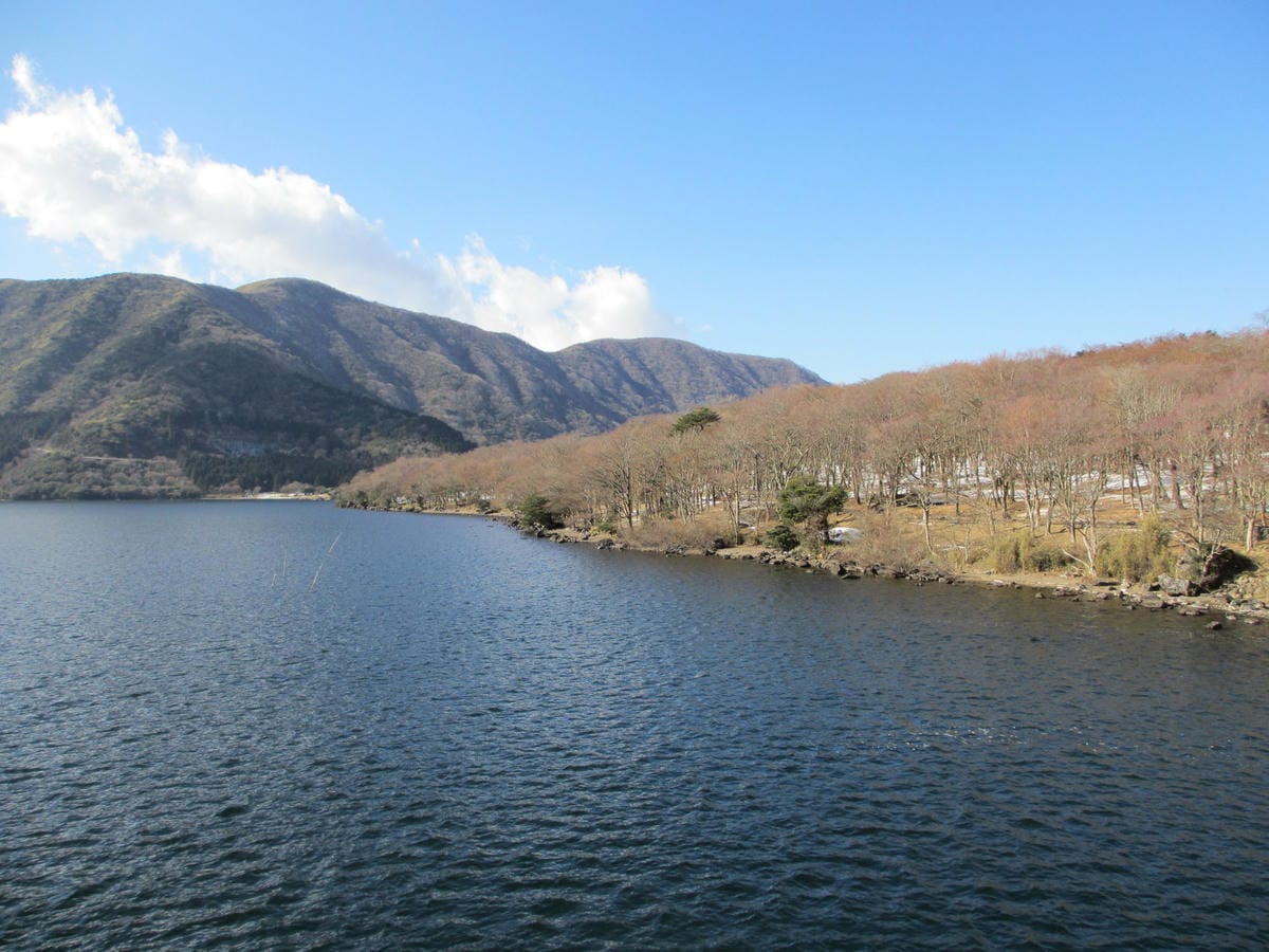 IMG_0855.JPG IMG_0855.JPG