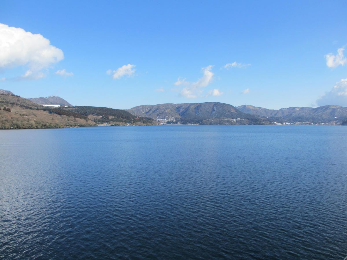 IMG_0876.JPG IMG_0876.JPG