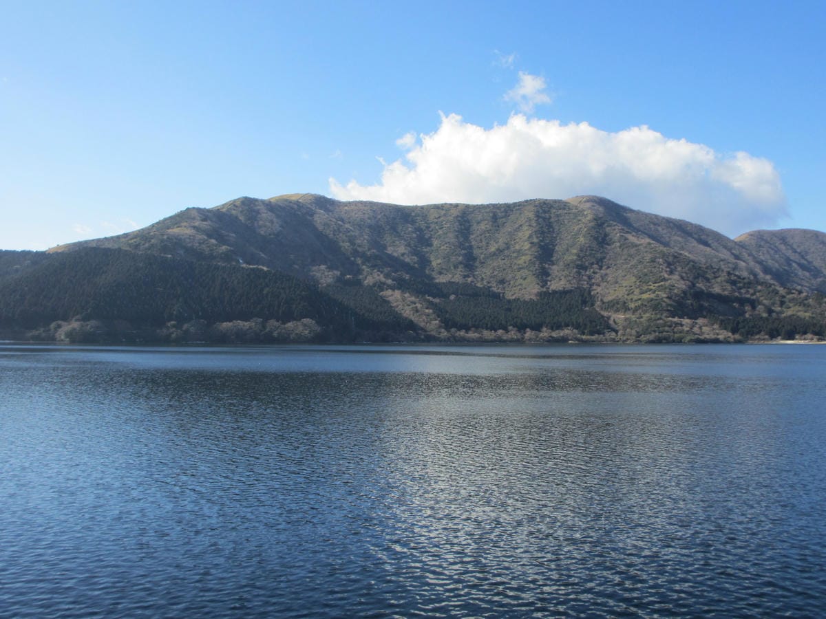 IMG_0865.JPG IMG_0865.JPG