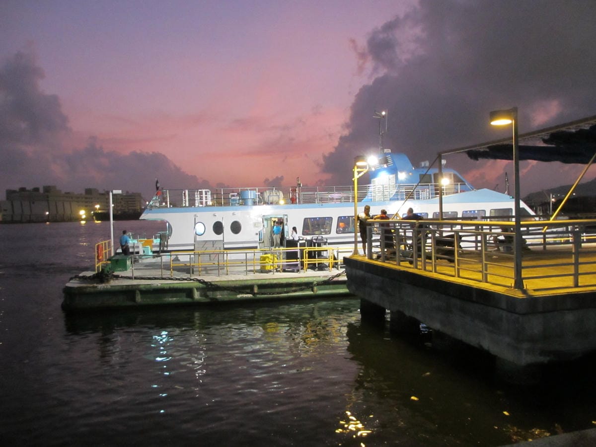 IMG_1416.JPG IMG_1416.JPG