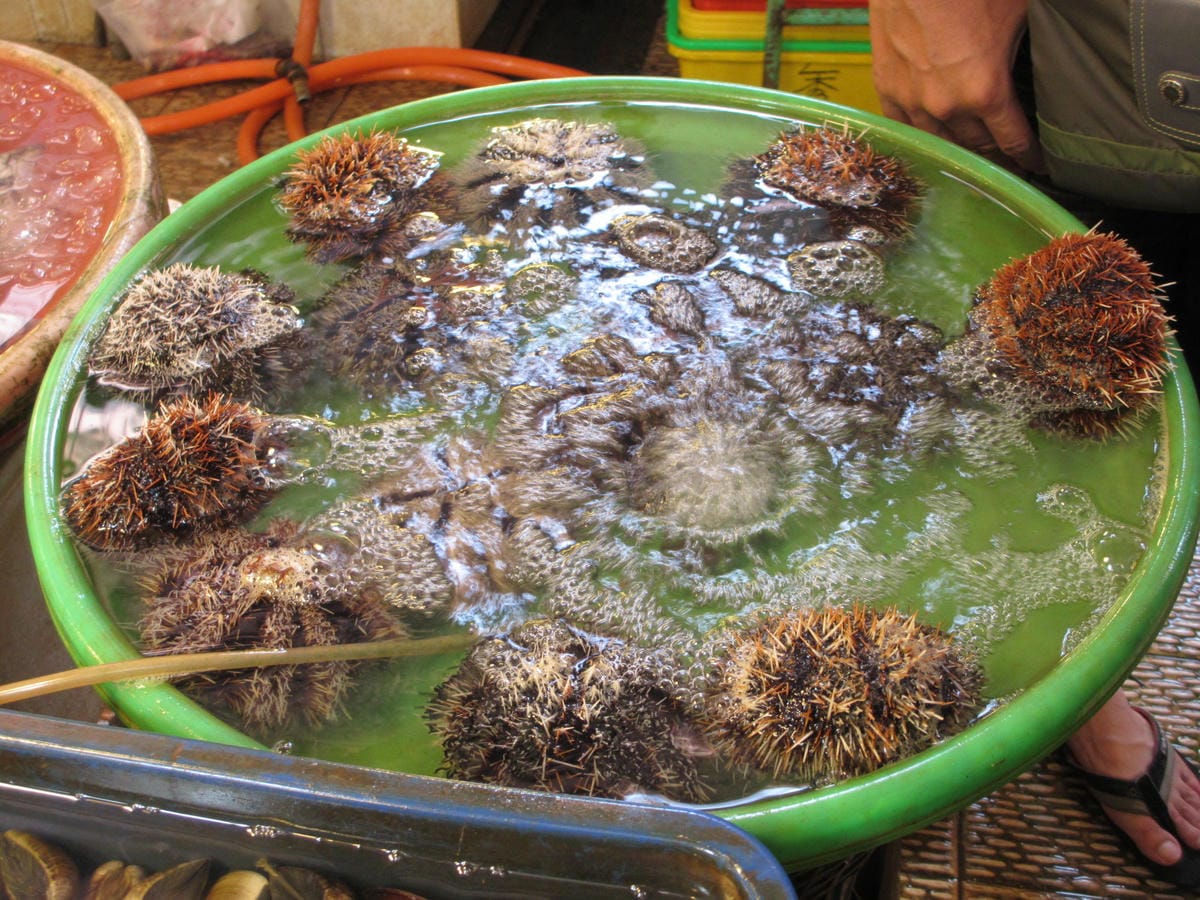 IMG_1650.JPG IMG_1650.JPG