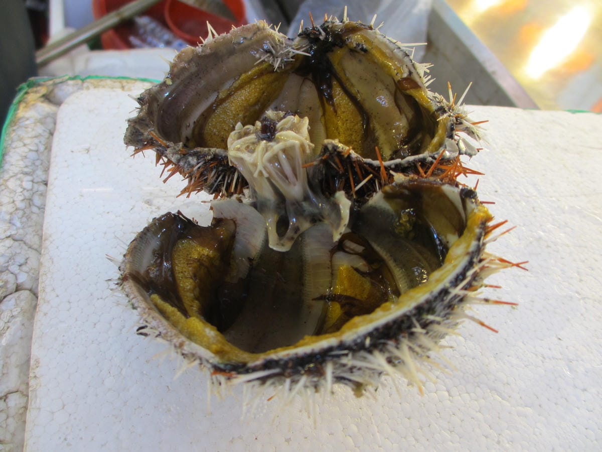 IMG_1653.JPG IMG_1653.JPG