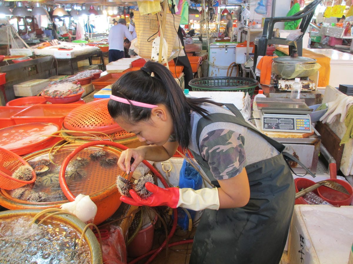 IMG_1652.JPG IMG_1652.JPG