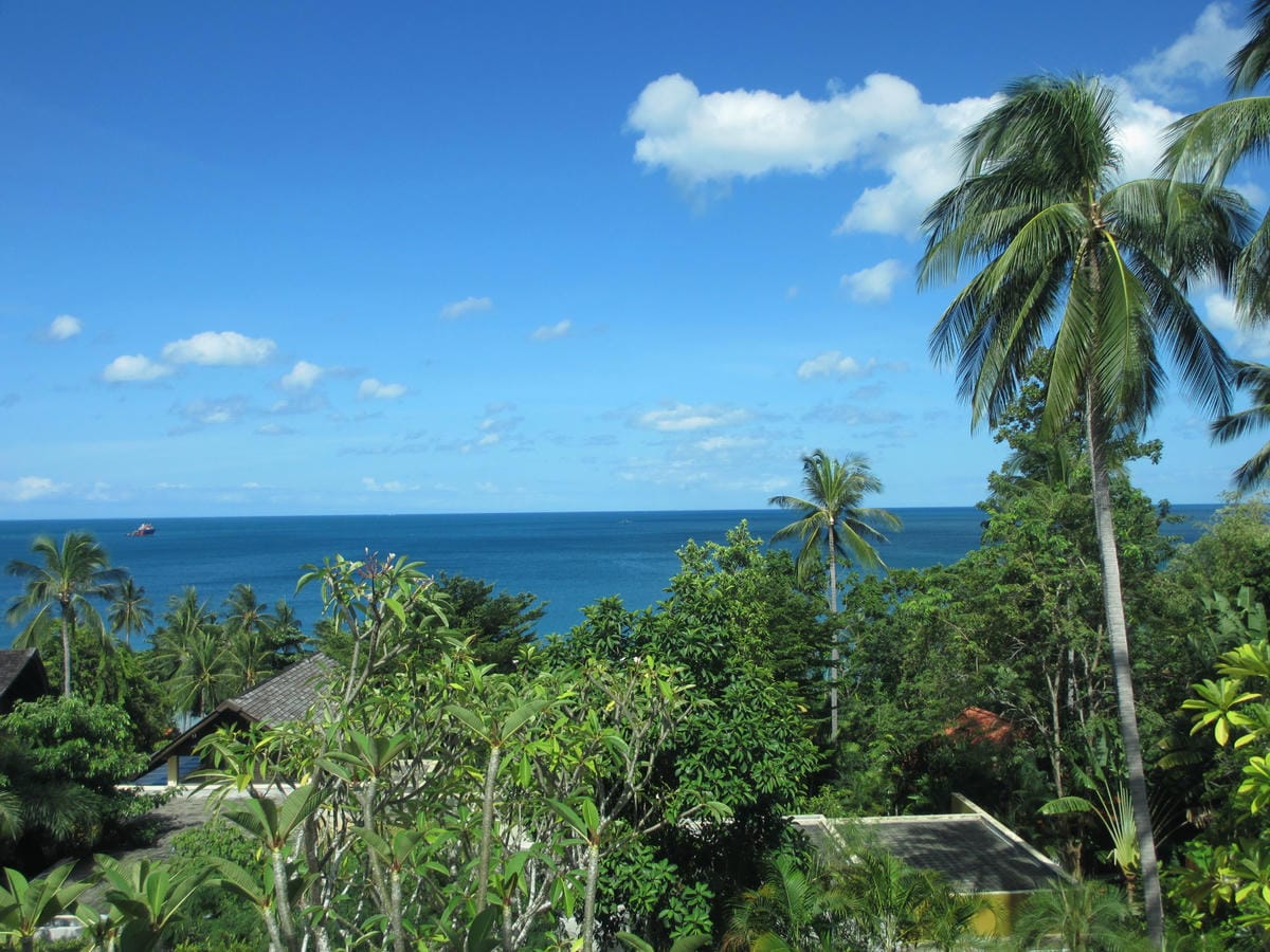 IMG_1631.JPG IMG_1631.JPG