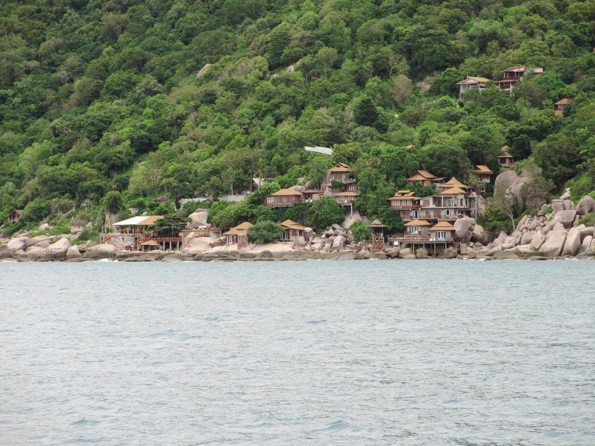 IMG_1772.JPG IMG_1772.JPG