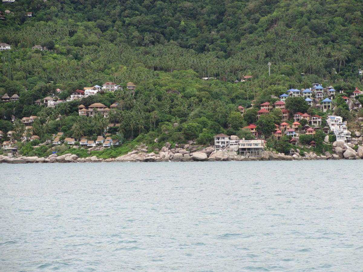 IMG_1769.JPG IMG_1769.JPG