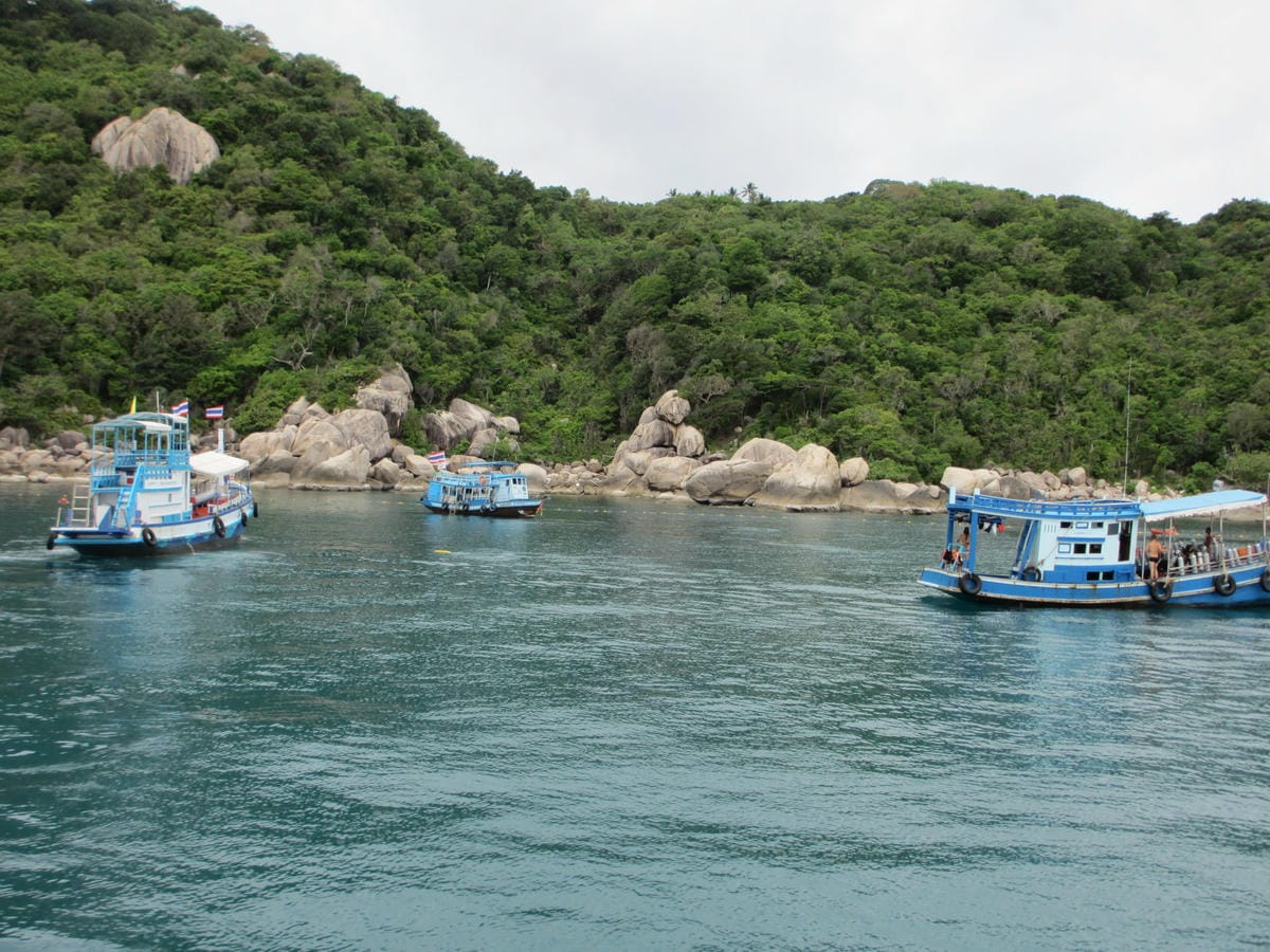 IMG_1787.JPG IMG_1787.JPG