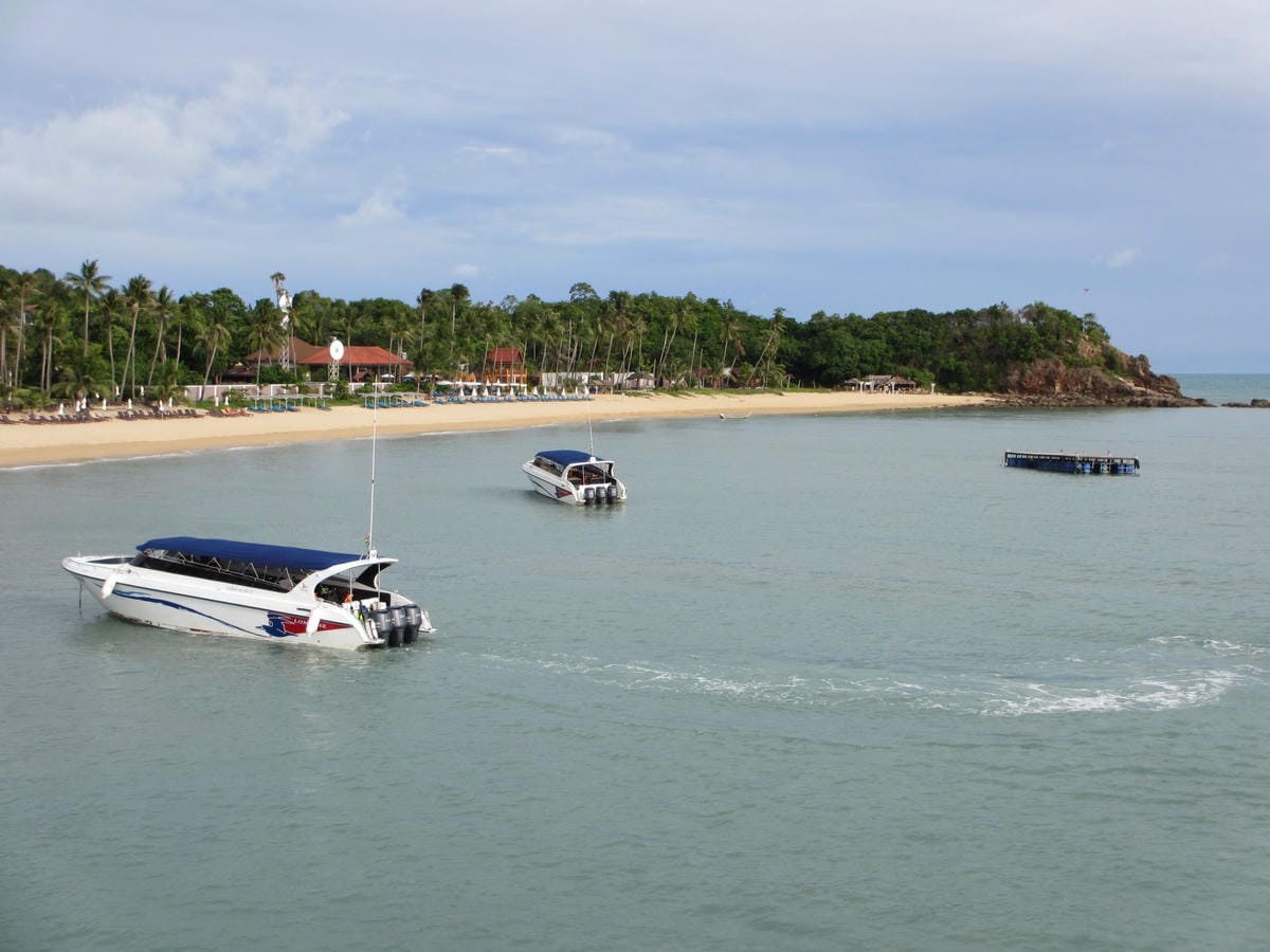 IMG_1753.JPG IMG_1753.JPG