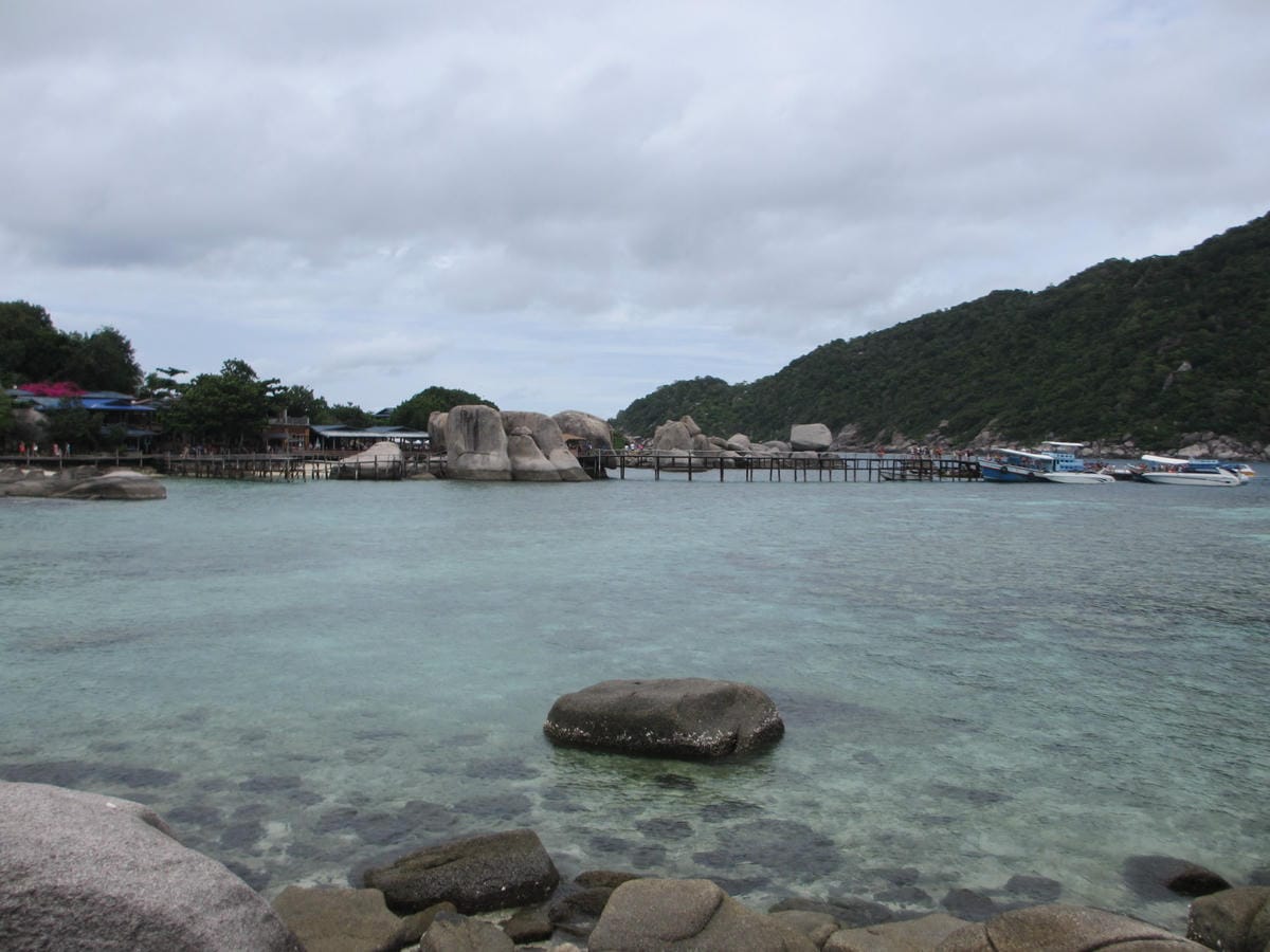 IMG_1806.JPG IMG_1806.JPG