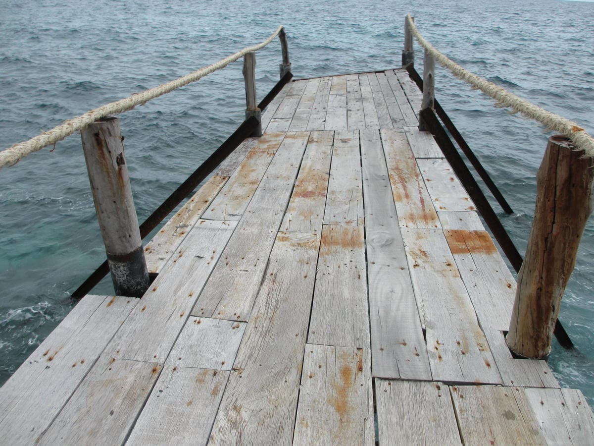 IMG_1817.JPG IMG_1817.JPG