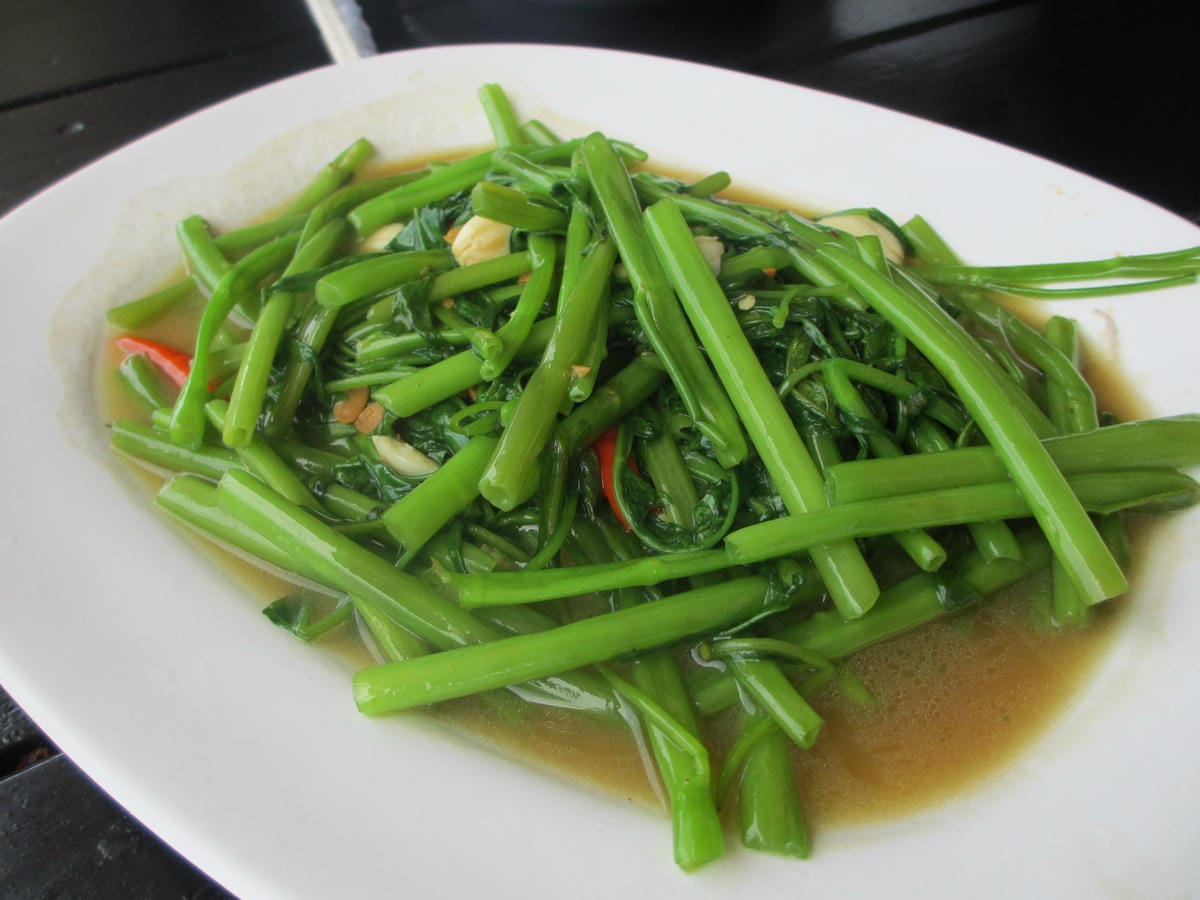 IMG_1978.JPG IMG_1978.JPG