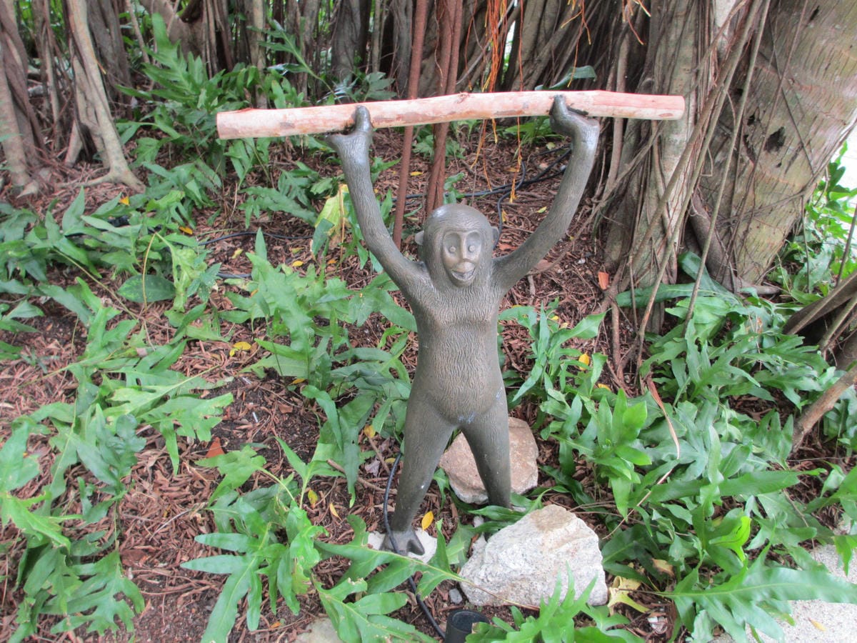 IMG_1885.JPG IMG_1885.JPG