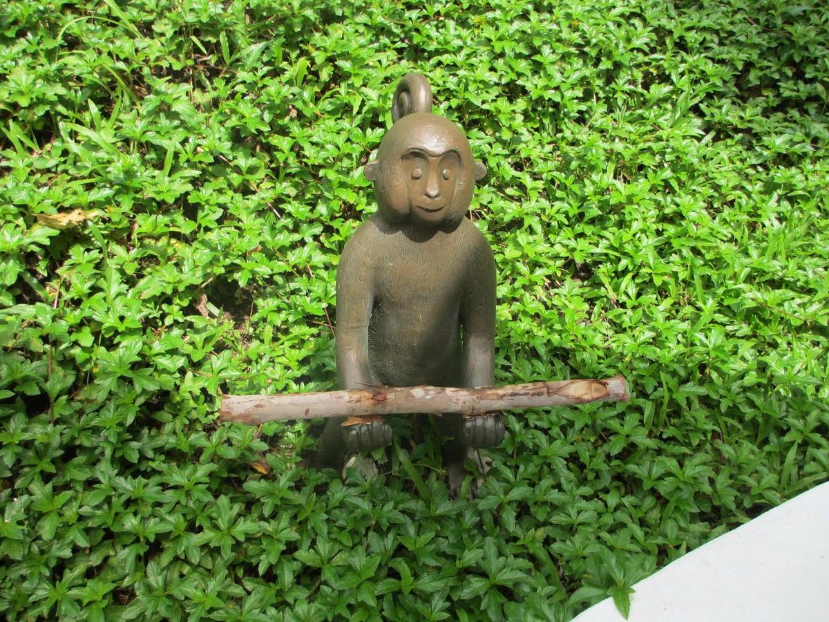 IMG_2076.JPG IMG_2076.JPG