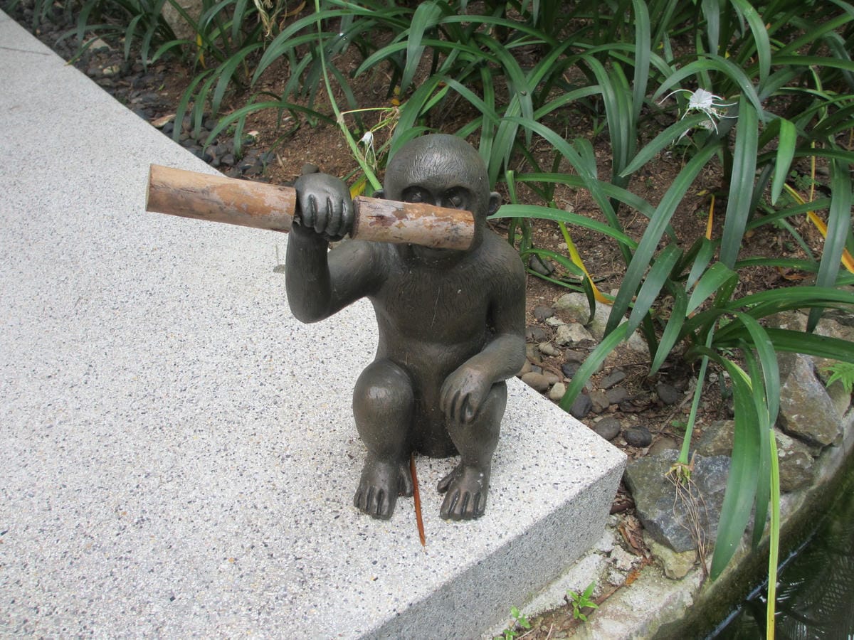 IMG_1884.JPG IMG_1884.JPG