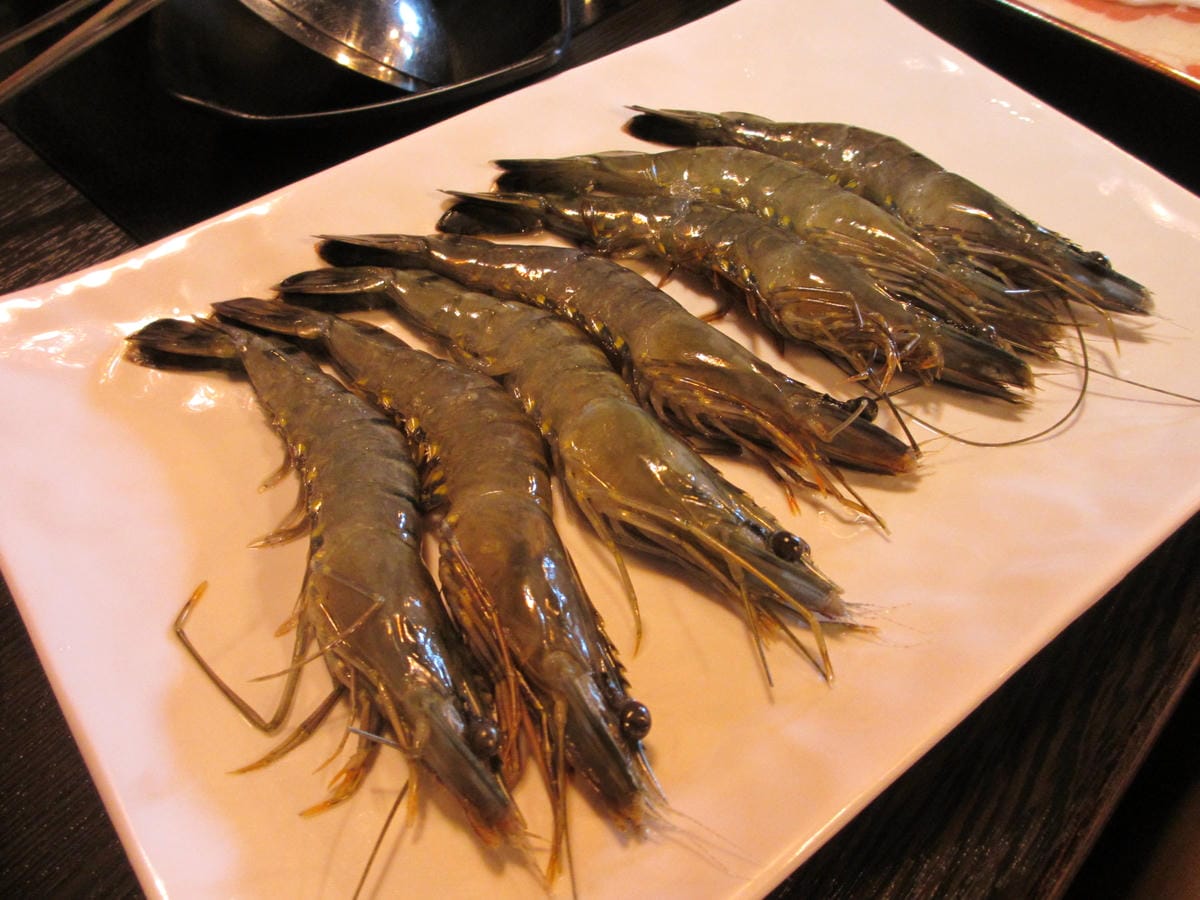 IMG_0039.JPG IMG_0039.JPG