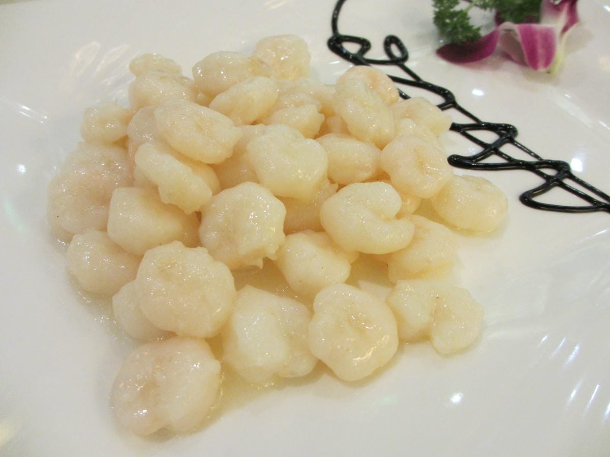 IMG_0241.JPG IMG_0241.JPG