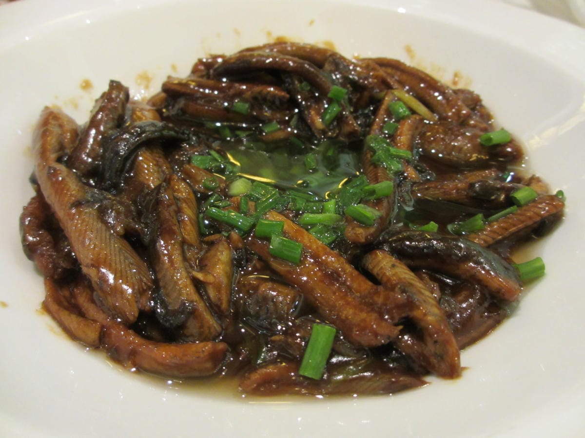 IMG_0244.JPG IMG_0244.JPG