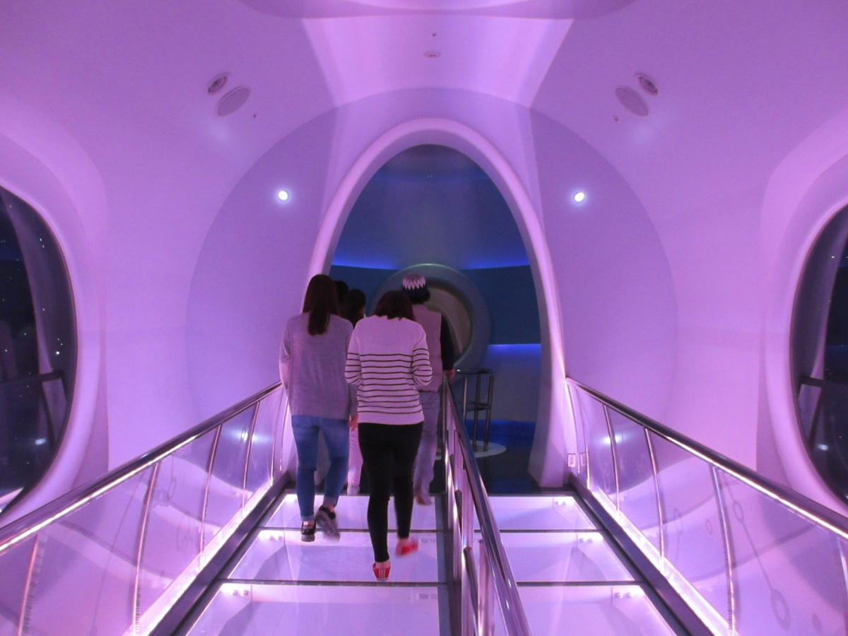 IMG_0721.JPG IMG_0721.JPG