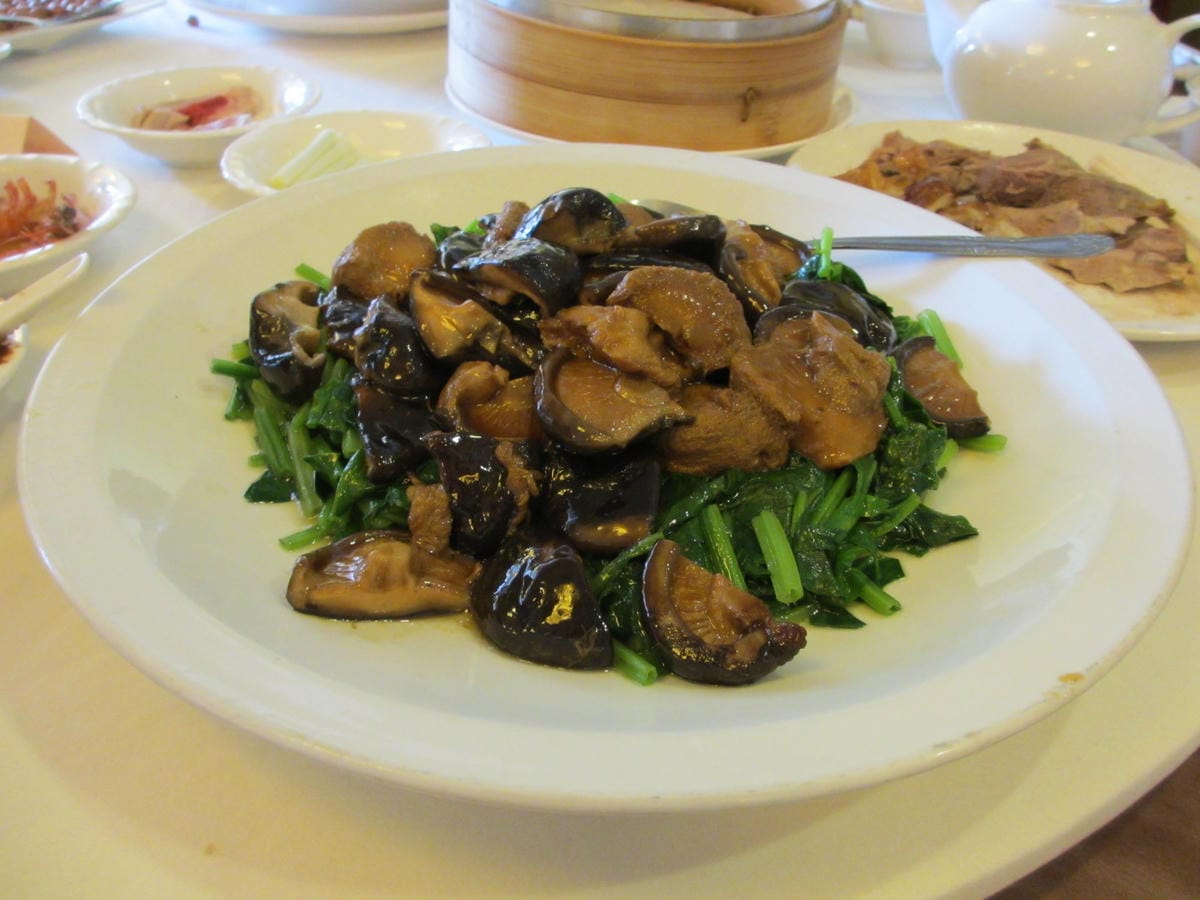 IMG_1515.JPG IMG_1515.JPG