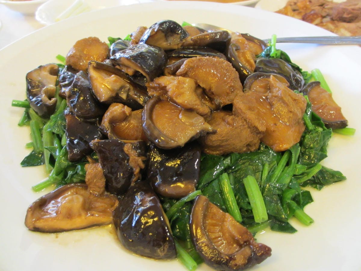 IMG_1516.JPG IMG_1516.JPG