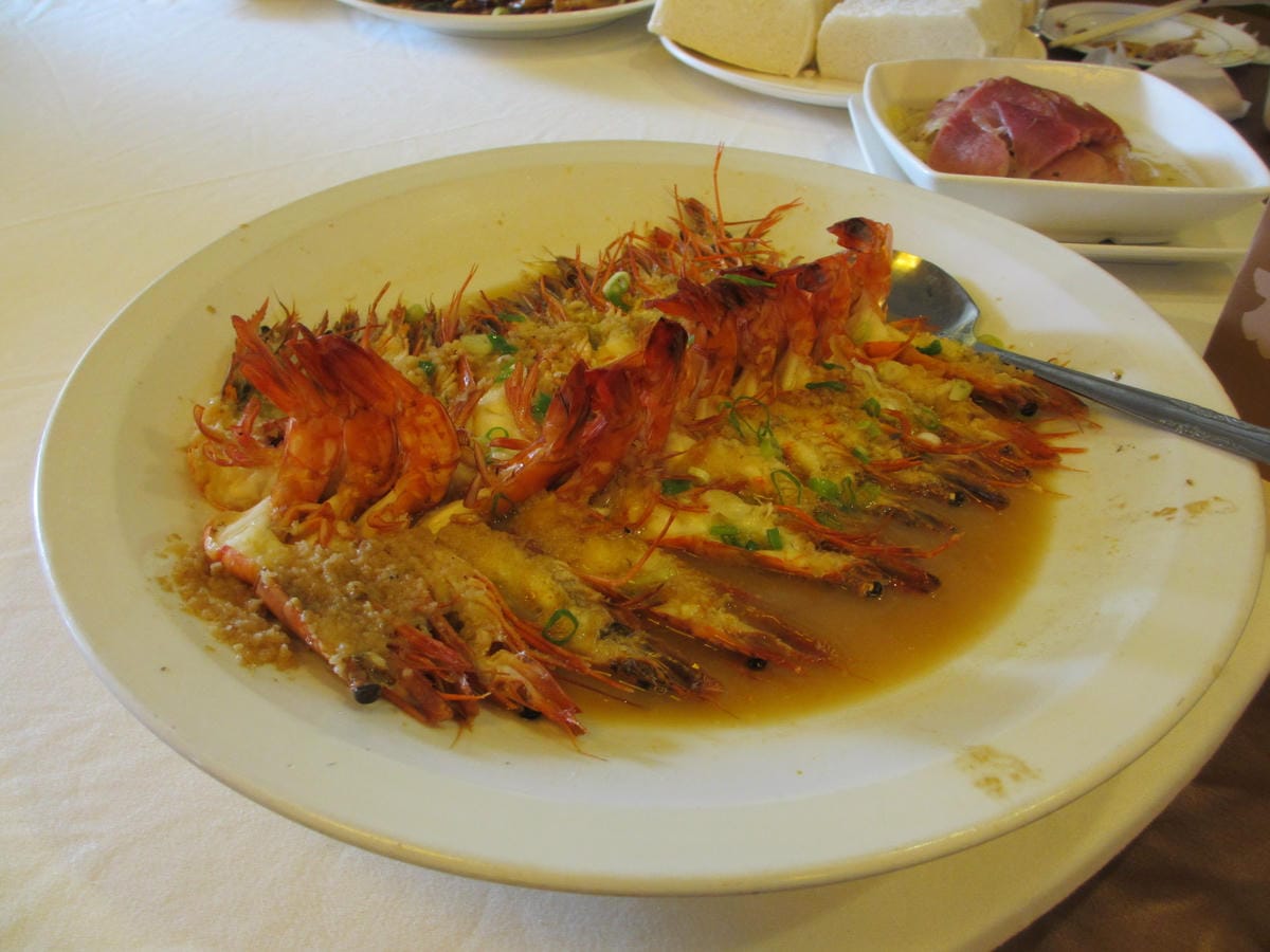 IMG_1503.JPG IMG_1503.JPG