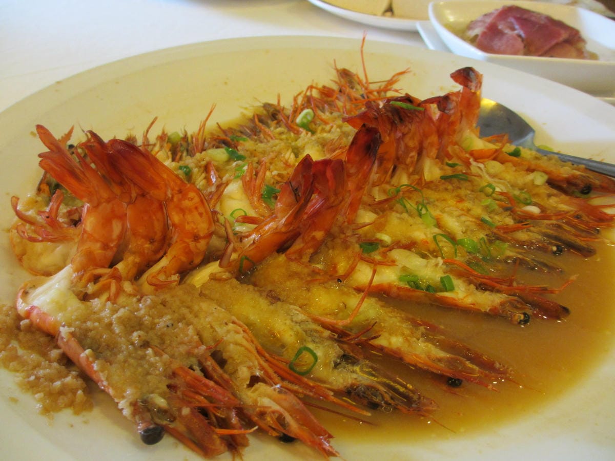 IMG_1504.JPG IMG_1504.JPG