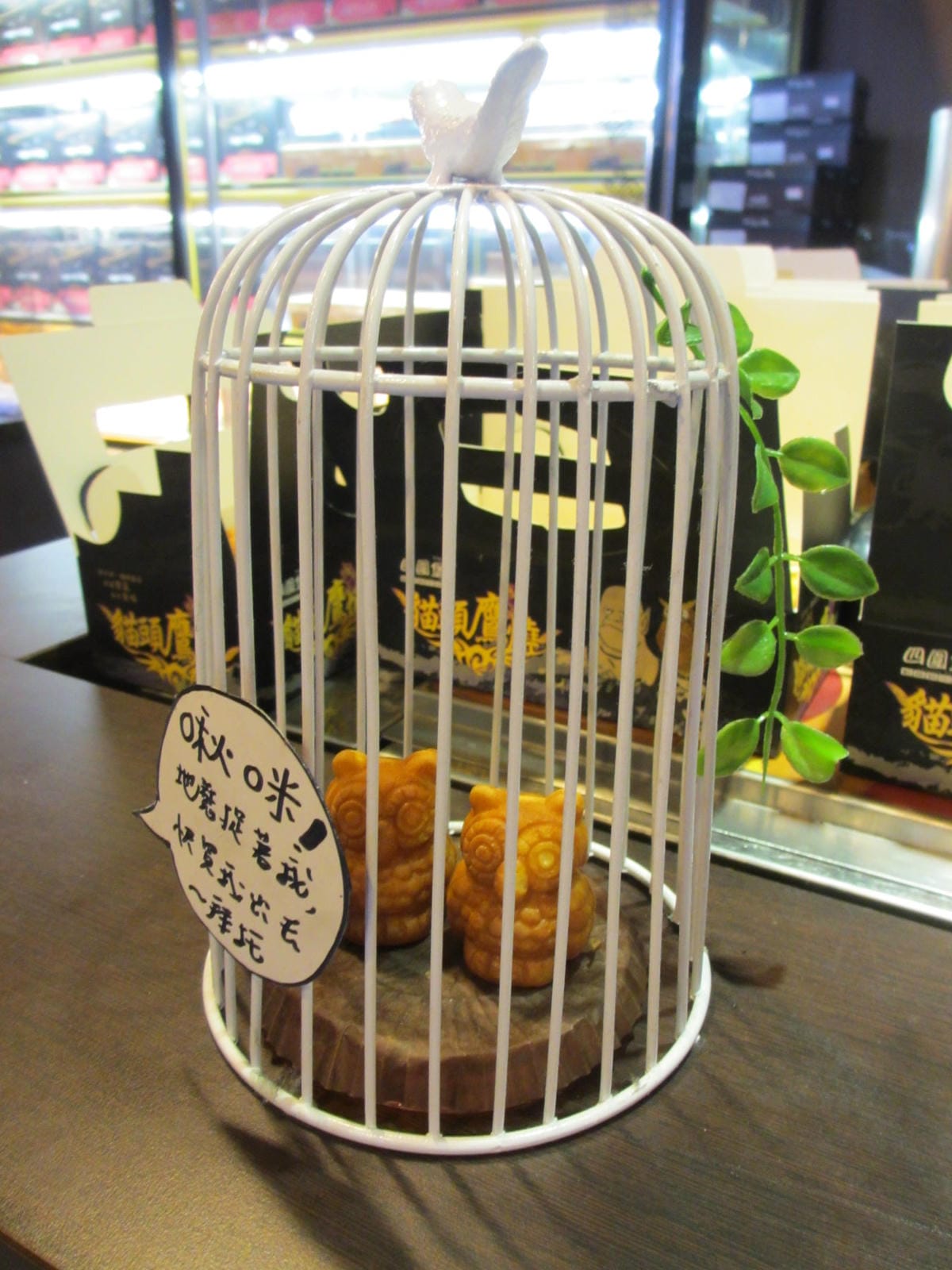 IMG_1003.JPG IMG_1003.JPG