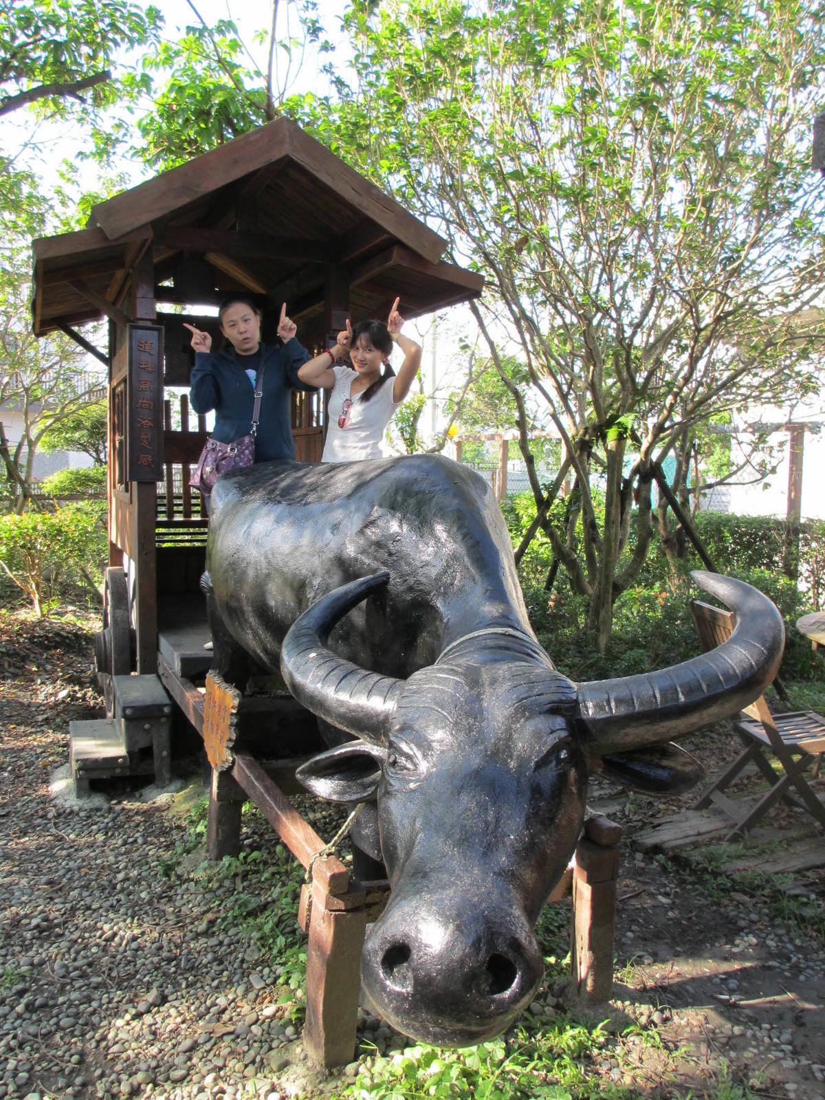 IMG_1223.JPG IMG_1223.JPG