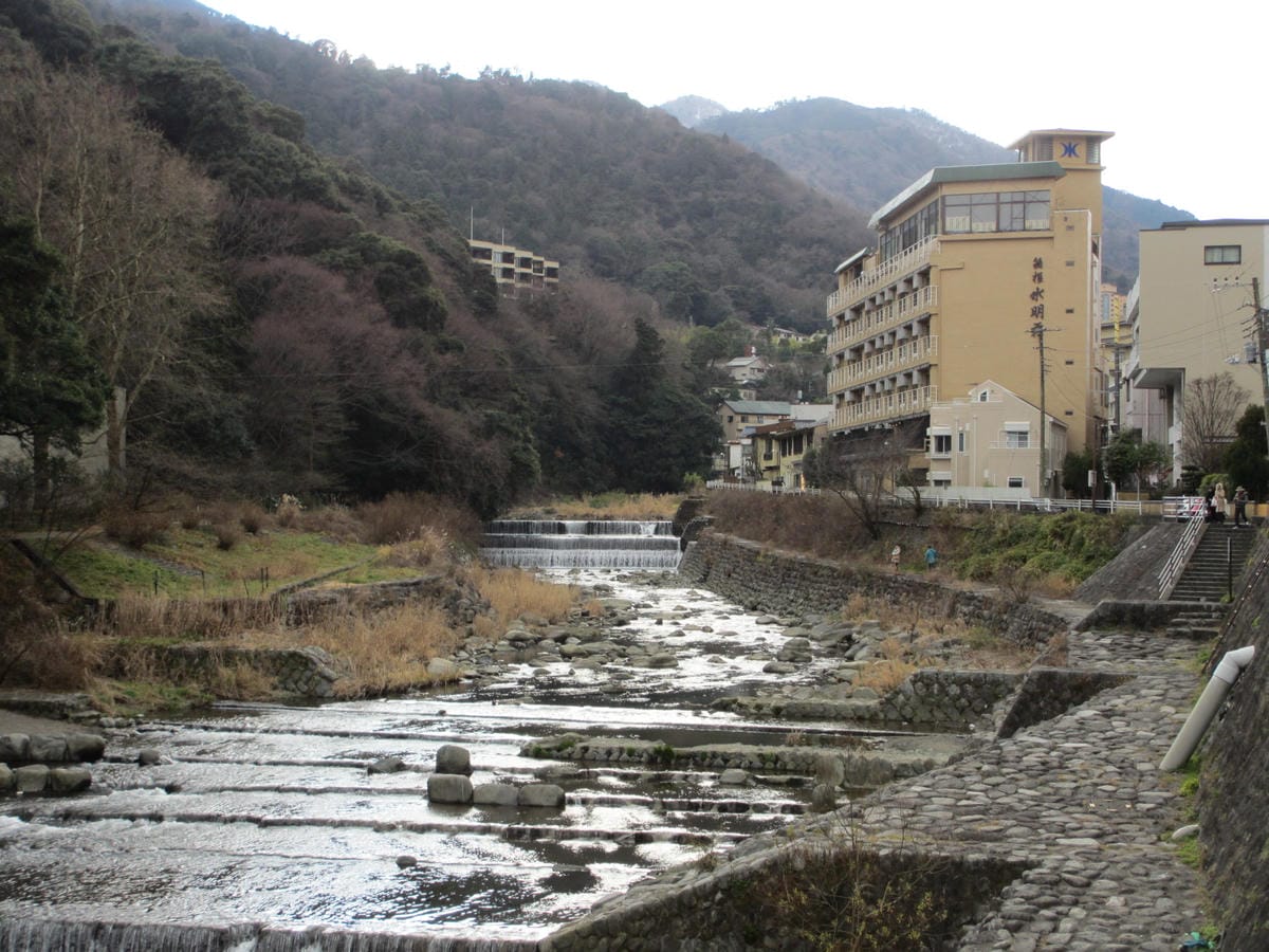 IMG_1134.JPG IMG_1134.JPG