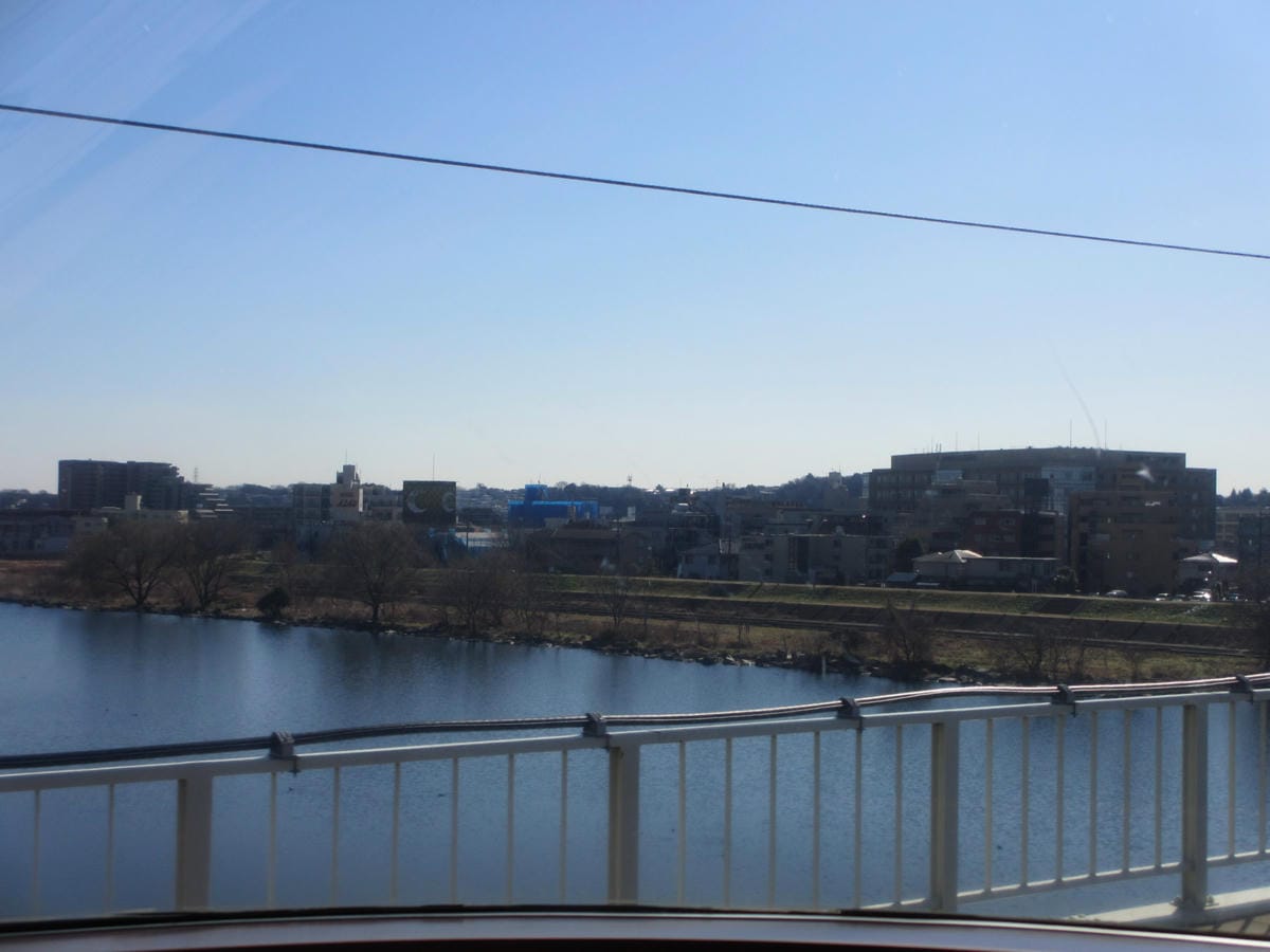 IMG_1123.JPG IMG_1123.JPG